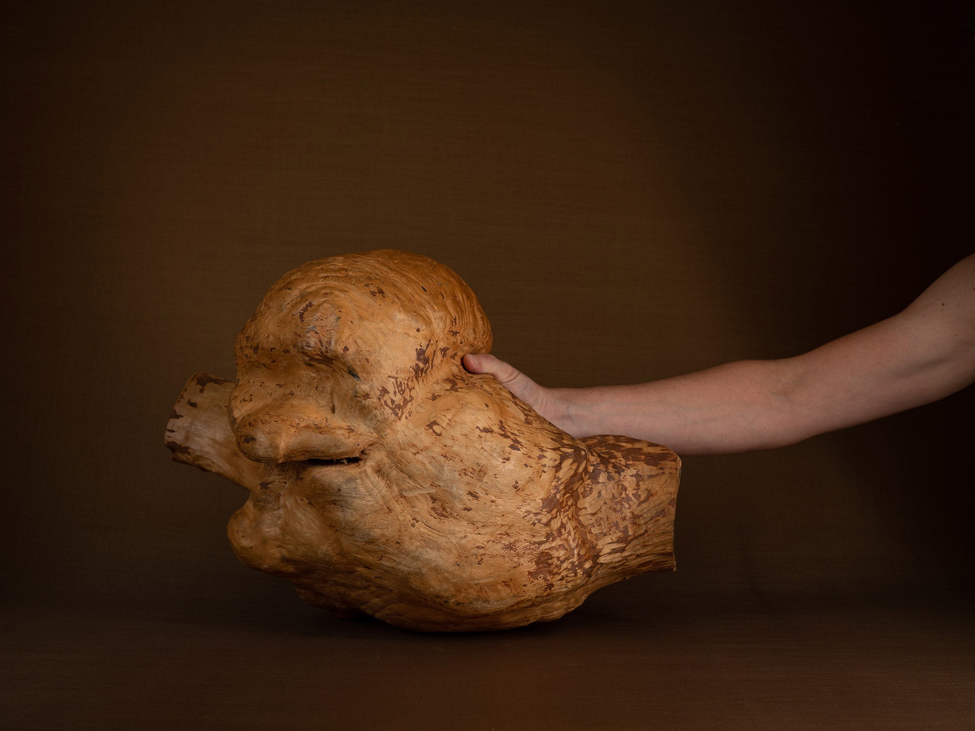 Immense coupe paysanne monoxyle en broussin de bouleau, Suède (milieu du XXe siècle)..Giant peasant birch burl bowl, Sweden (mid 20th century)