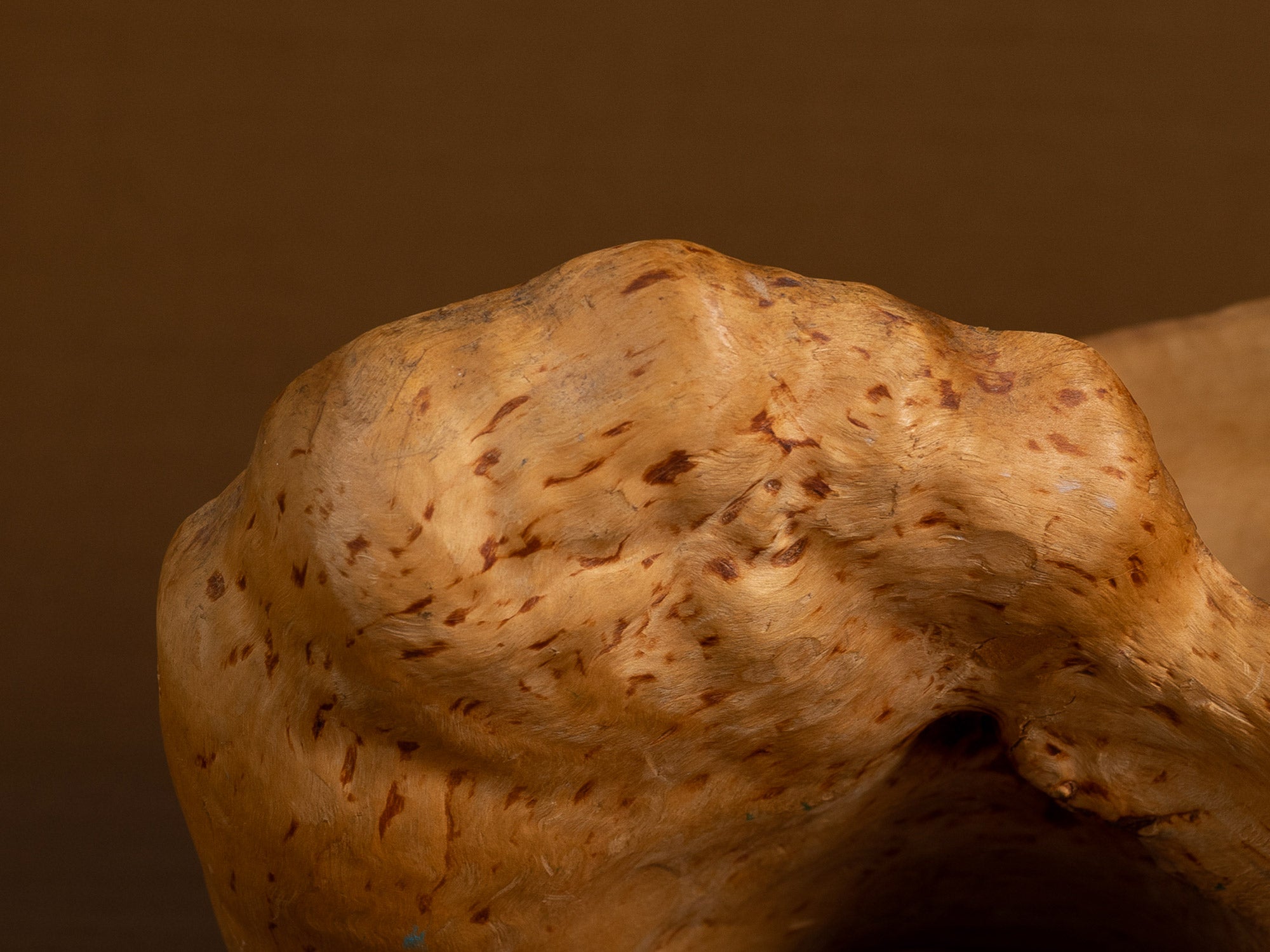 Coupe paysanne monoxyle en broussin de bouleau, Suède (début du XXe siècle)..Peasant birch burl bowl, Sweden (early 20th century)