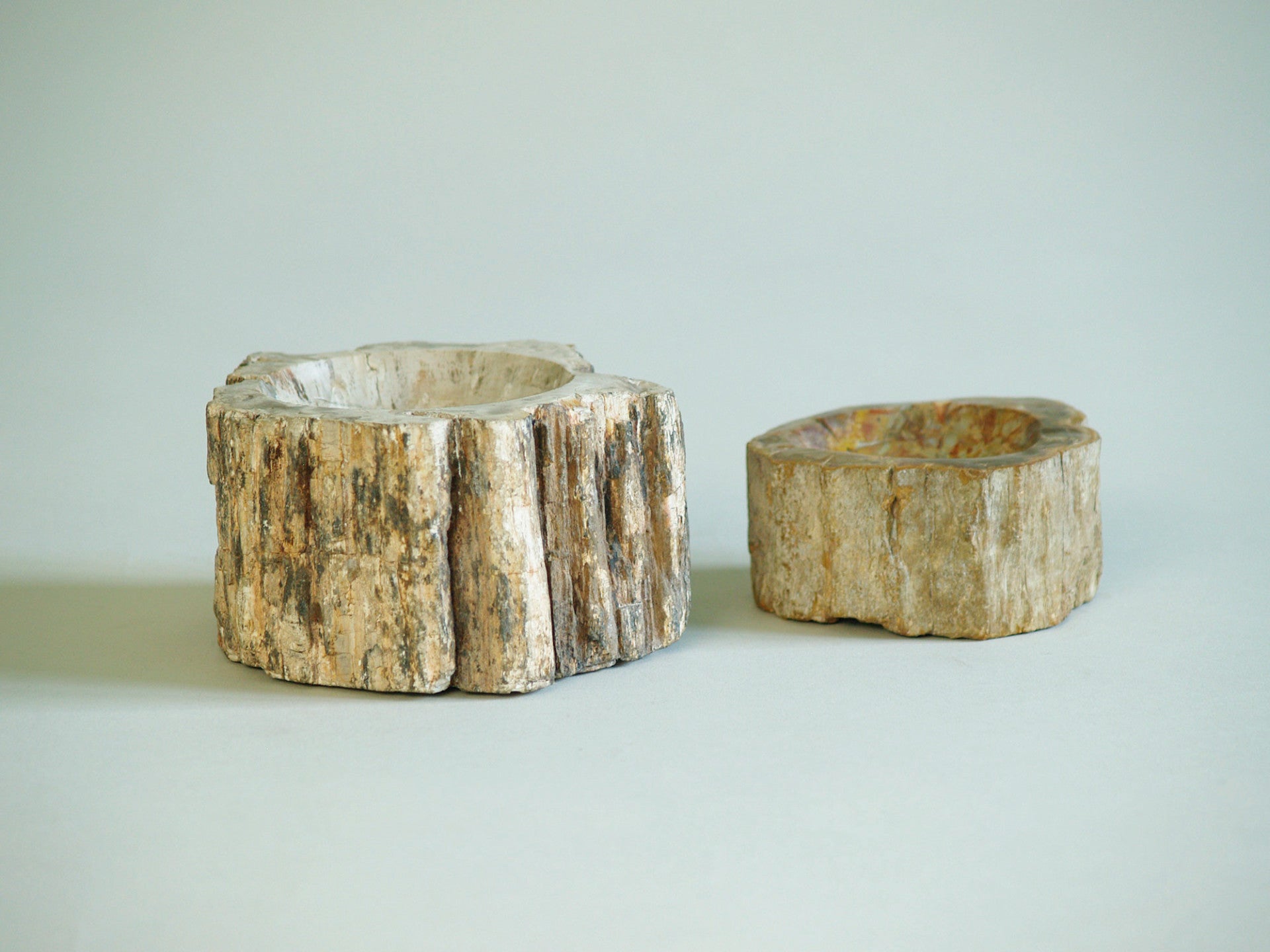 Ensemble de deux coupes en bois pétrifié, France (vers 1970)..Set of petrified wood bowls, France (circa 1970)