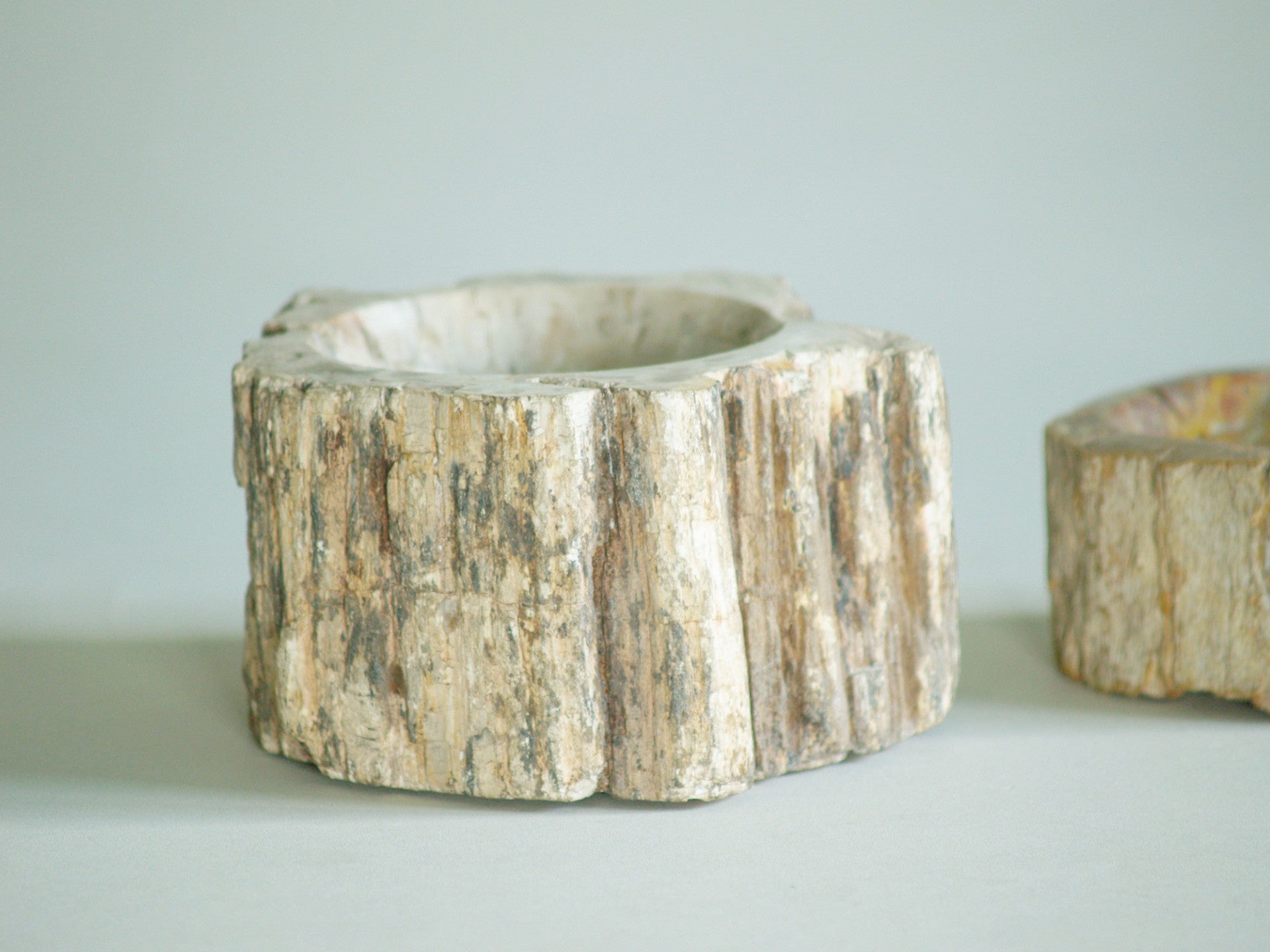 Ensemble de deux coupes en bois pétrifié, France (vers 1970)..Set of petrified wood bowls, France (circa 1970)