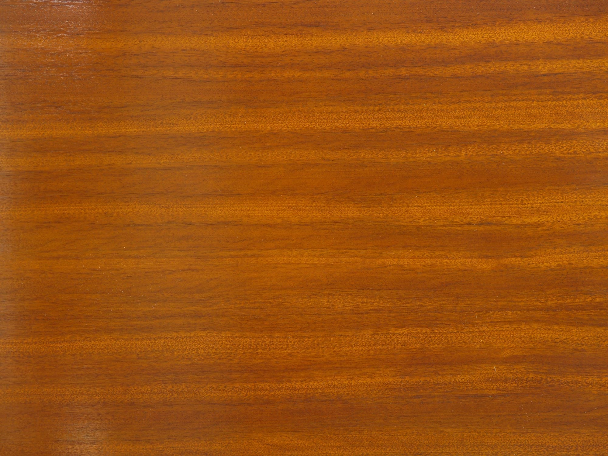 Table basse CM 191 de Pierre Paulin pour Thonet, France (vers 1957)..CM 191 Coffee table by Pierre Paulin for Thonet, France (vers 1957)