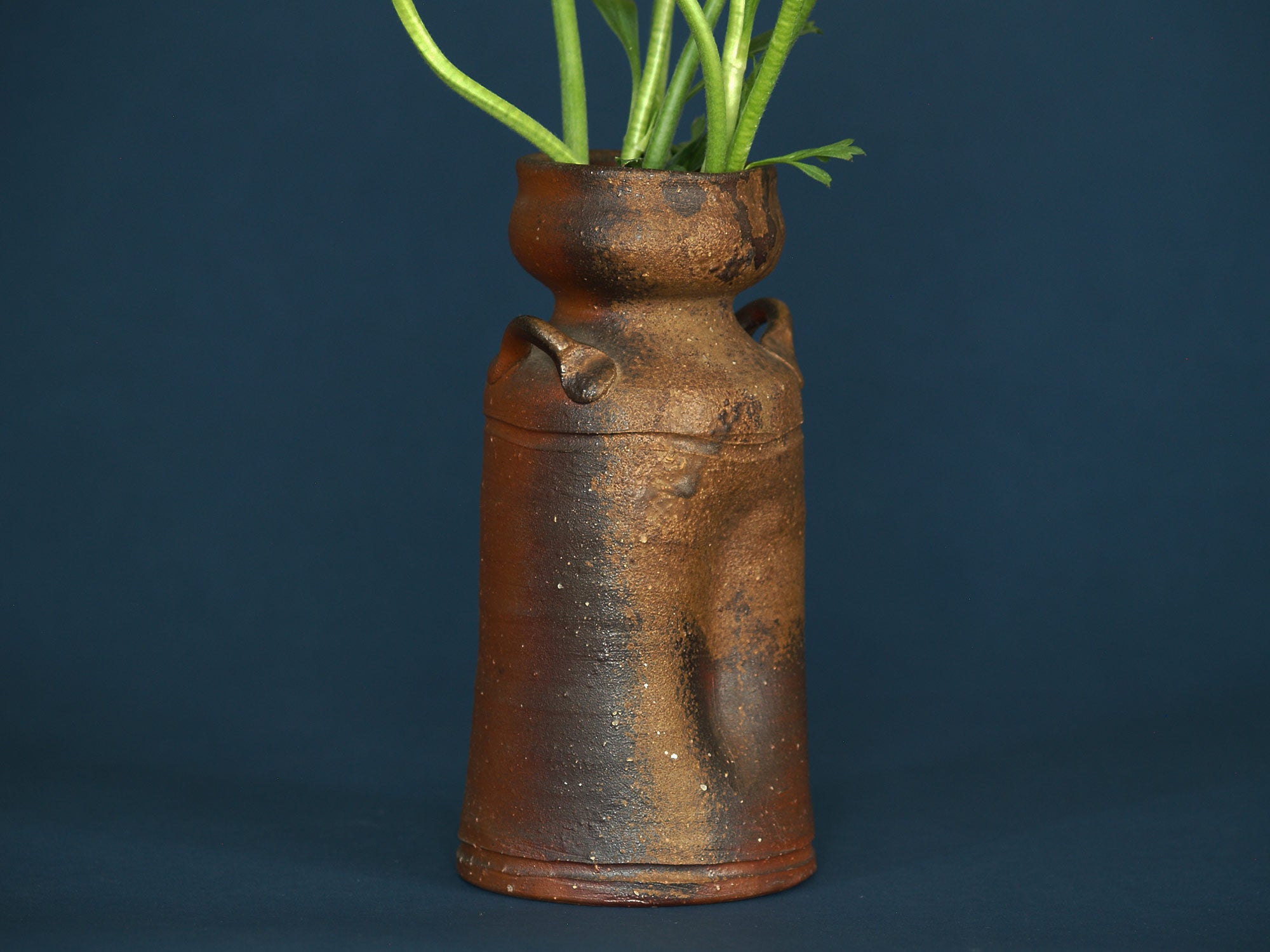 Vase à anses Hanaire de Bizen, Japon (vers 1980)..Hanaire Bizen ware vase, Japan (ca. 1980)