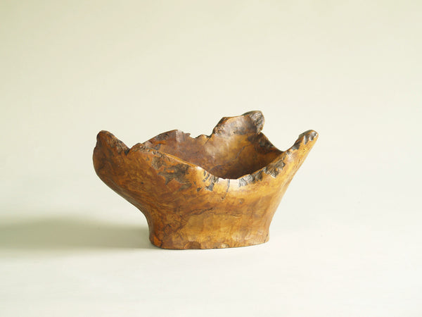 Mitate, Large coupe racinaire, France (vers 1950)..Mitate, Large olive tree roots carved bowl, France (circa 1950)