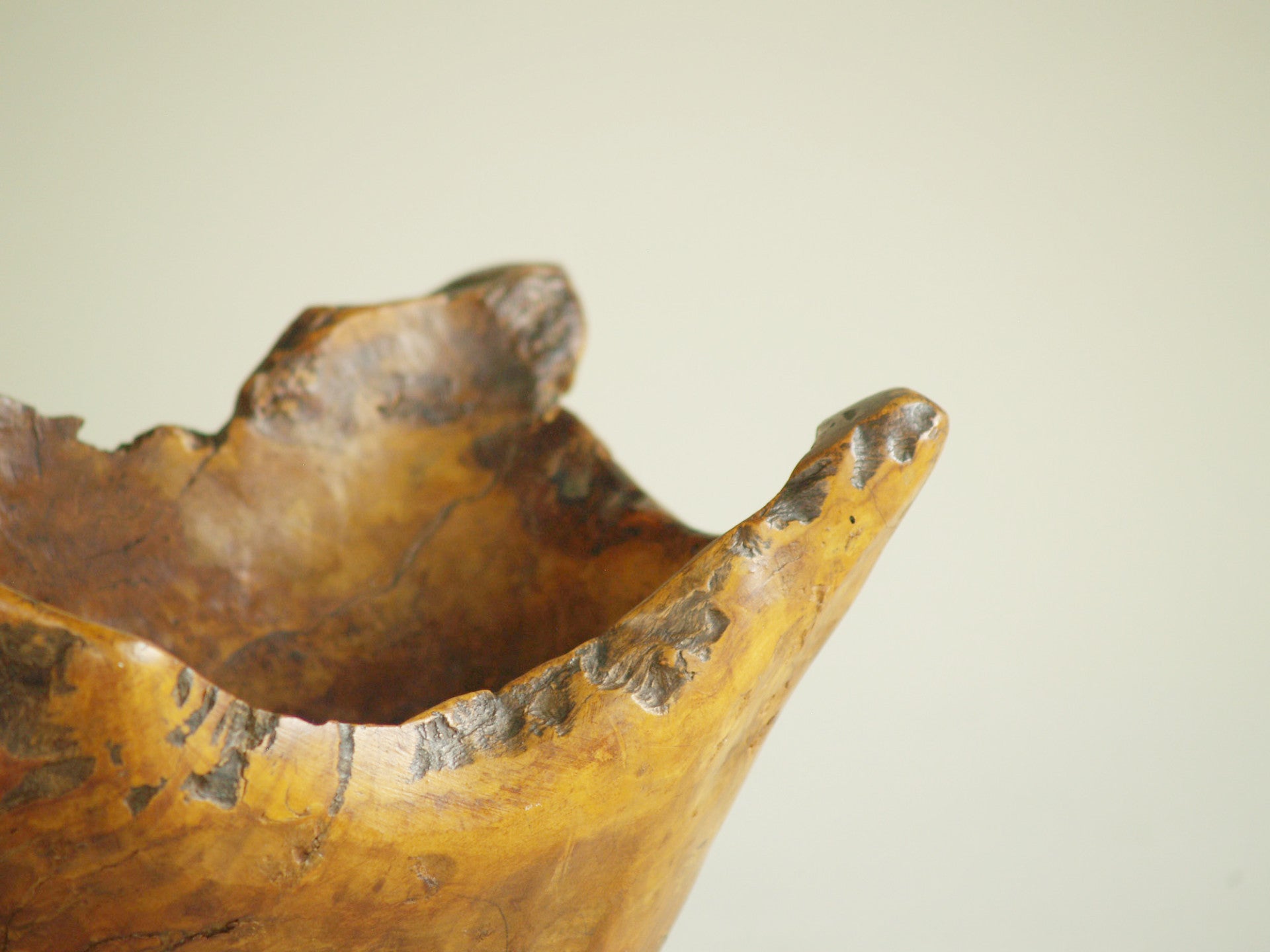 Mitate, Large coupe racinaire, France (vers 1950)..Mitate, Large olive tree roots carved bowl, France (circa 1950)