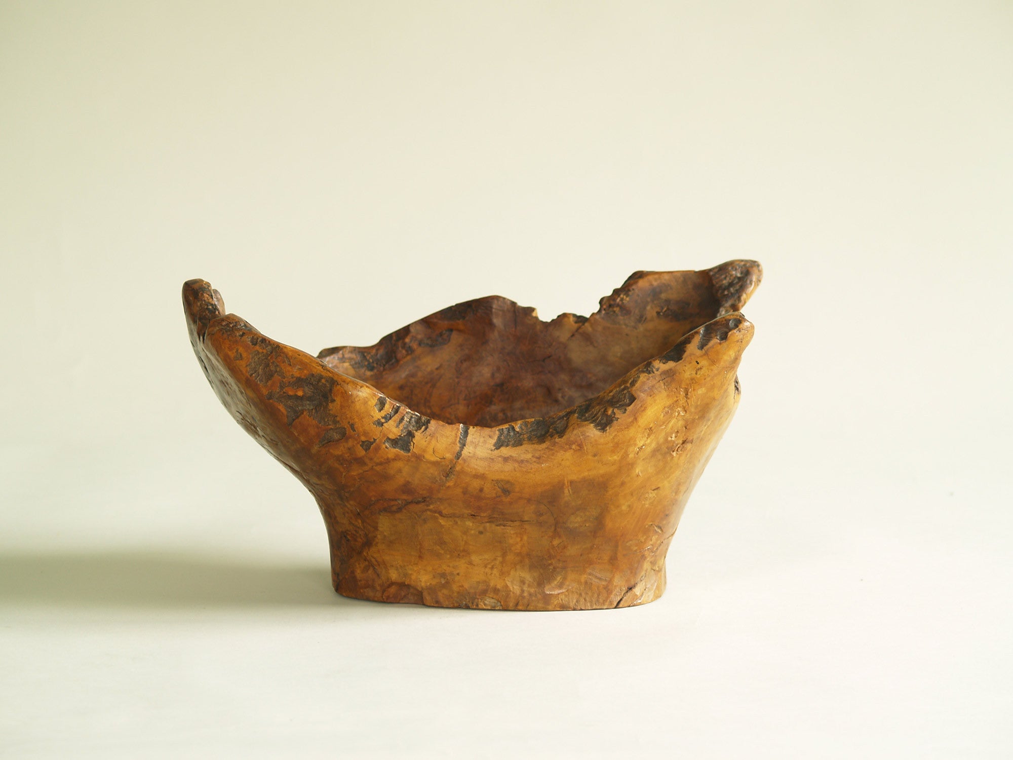 Mitate, Large coupe racinaire, France (vers 1950)..Mitate, Large olive tree roots carved bowl, France (circa 1950)