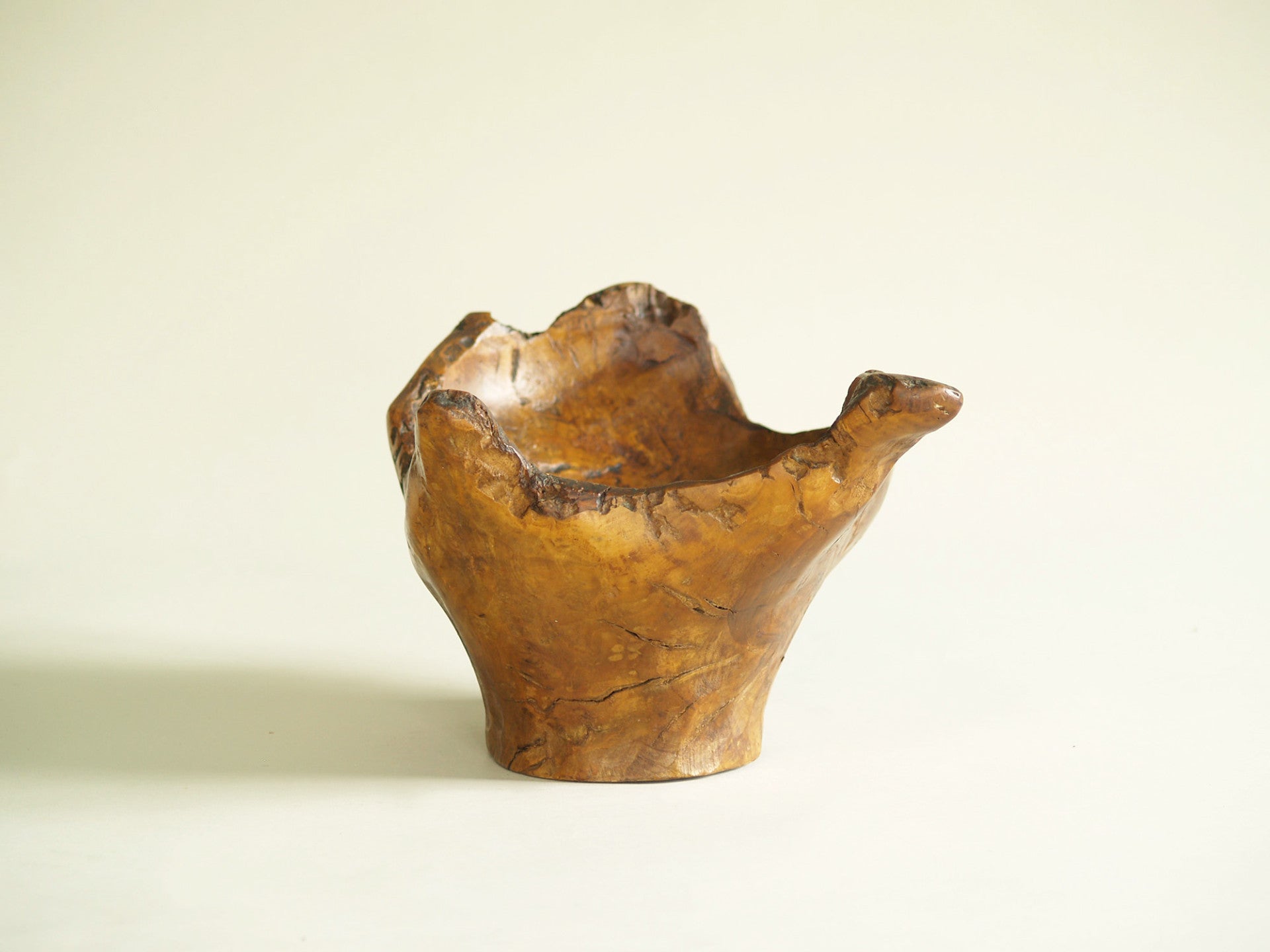 Mitate, Large coupe racinaire, France (vers 1950)..Mitate, Large olive tree roots carved bowl, France (circa 1950)