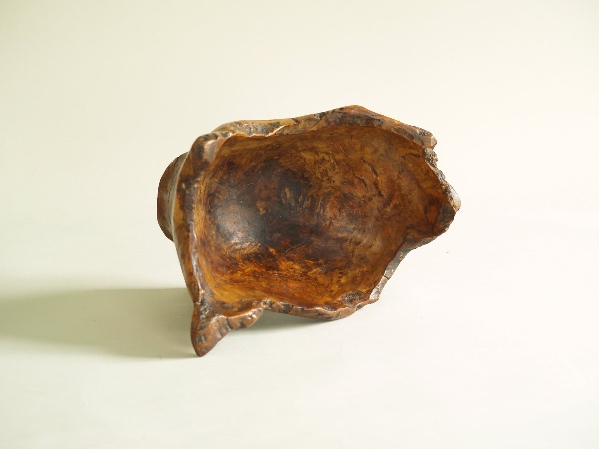 Mitate, Large coupe racinaire, France (vers 1950)..Mitate, Large olive tree roots carved bowl, France (circa 1950)