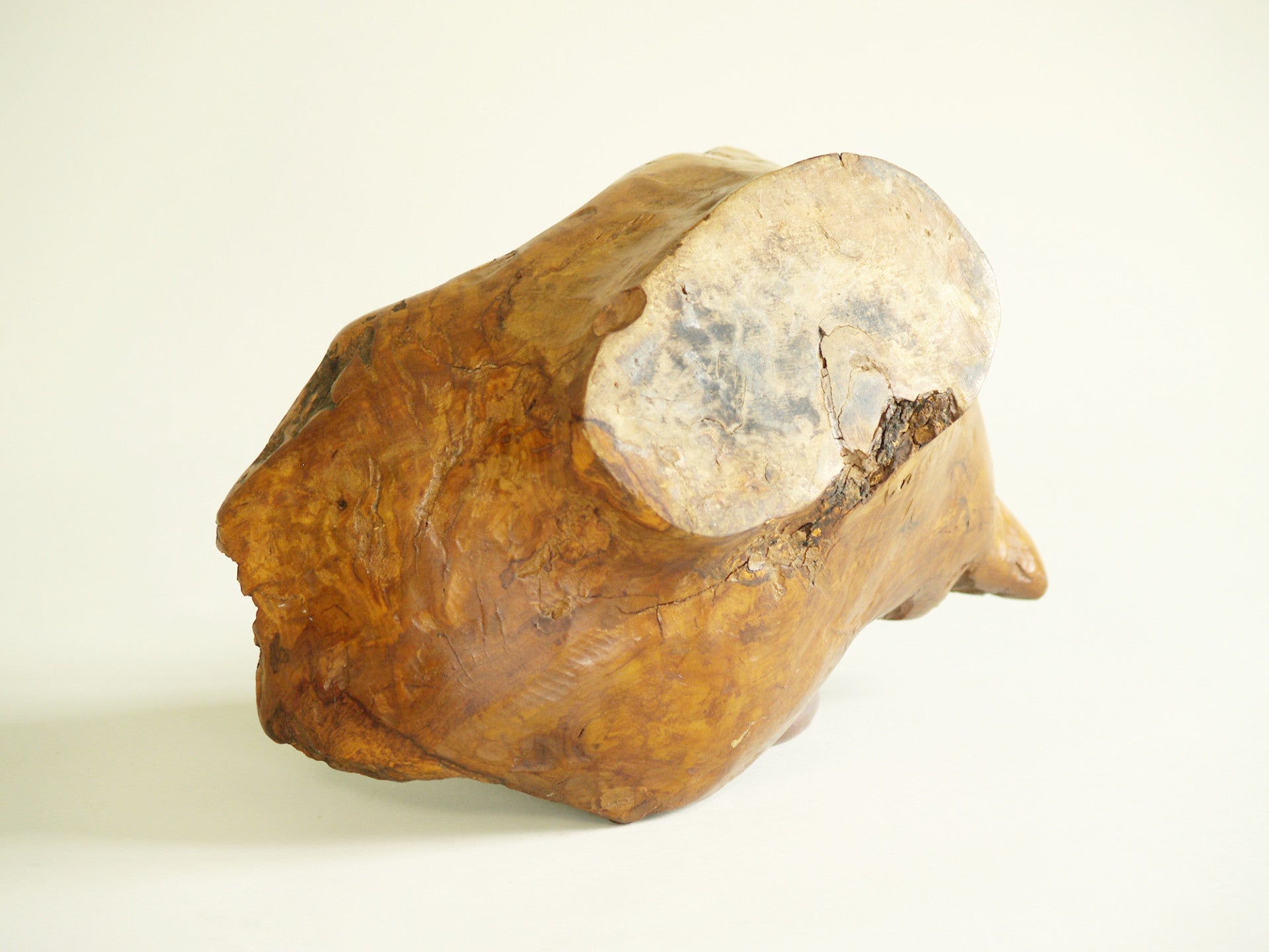 Mitate, Large coupe racinaire, France (vers 1950)..Mitate, Large olive tree roots carved bowl, France (circa 1950)