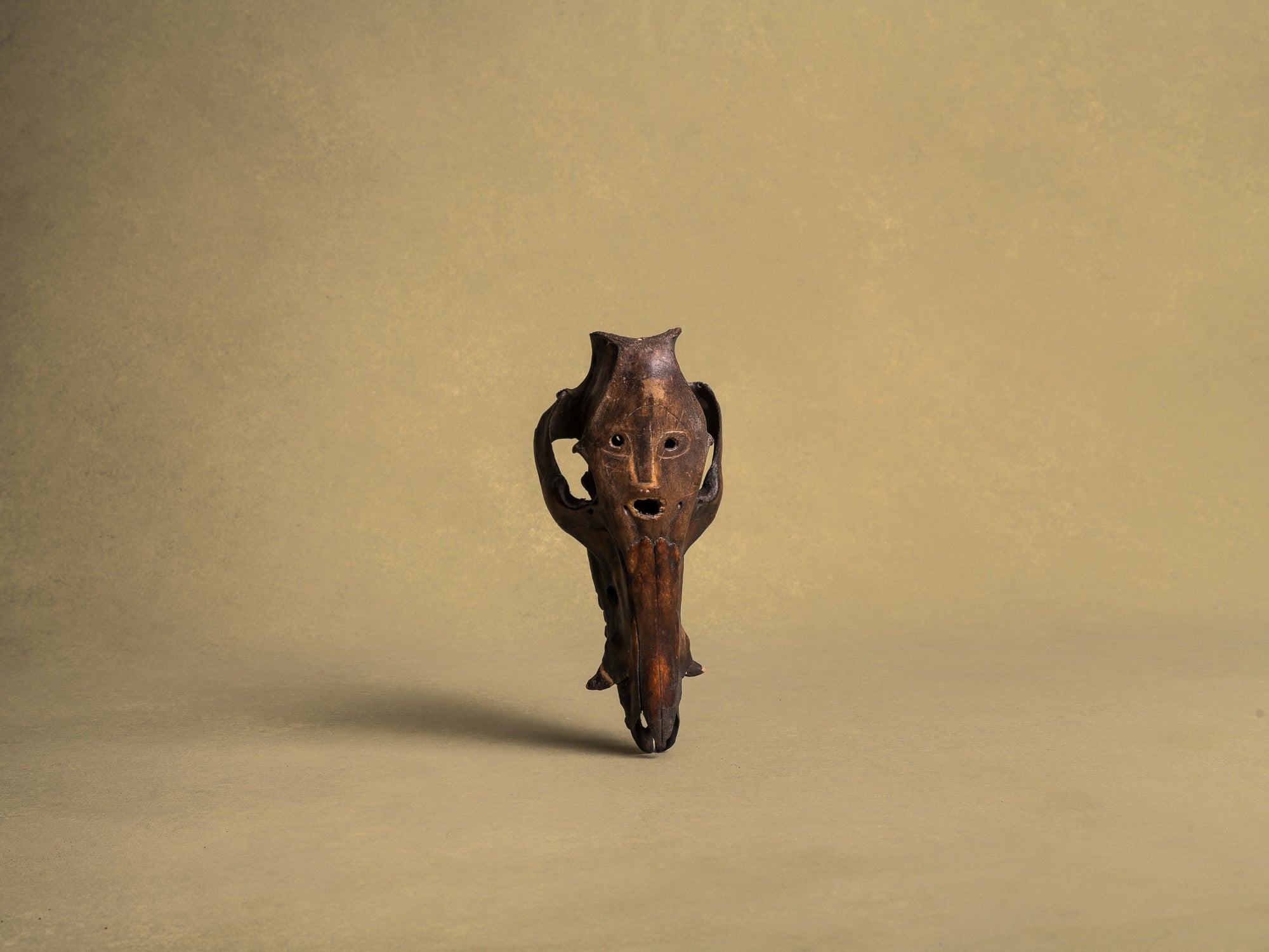 Masques‑crânes cérémoniels totémiques de l'ethnie Atoni, Timor occidental (XXe siècle)..Set of 5 ceremonial Atoni's totemic skull masks, West Timor (XXth century)