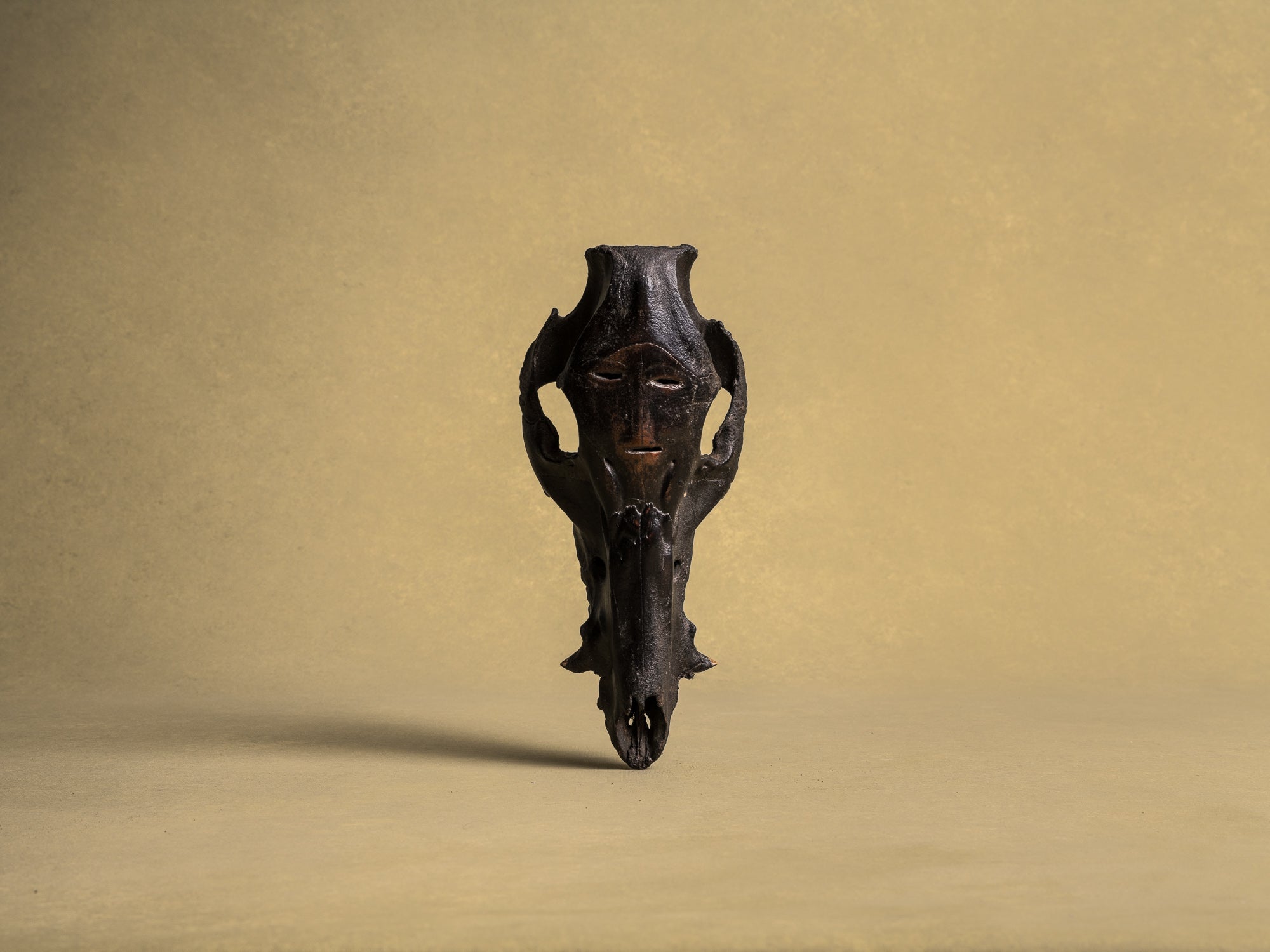 Masques‑crânes cérémoniels totémiques de l'ethnie Atoni, Timor occidental (XXe siècle)..Set of 5 ceremonial Atoni's totemic skull masks, West Timor (XXth century)