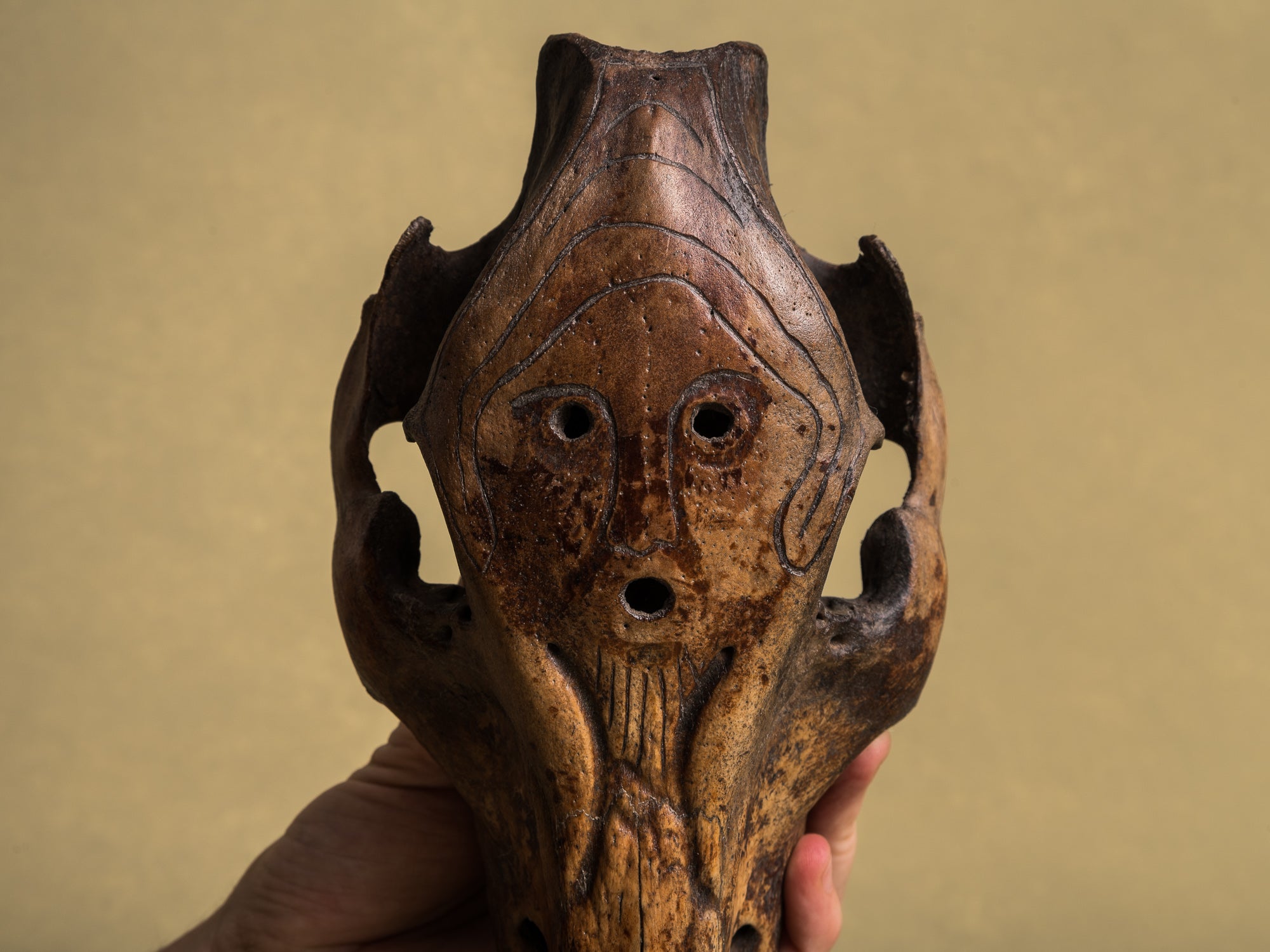 Masques‑crânes cérémoniels totémiques de l'ethnie Atoni, Timor occidental (XXe siècle)..Set of 5 ceremonial Atoni's totemic skull masks, West Timor (XXth century)