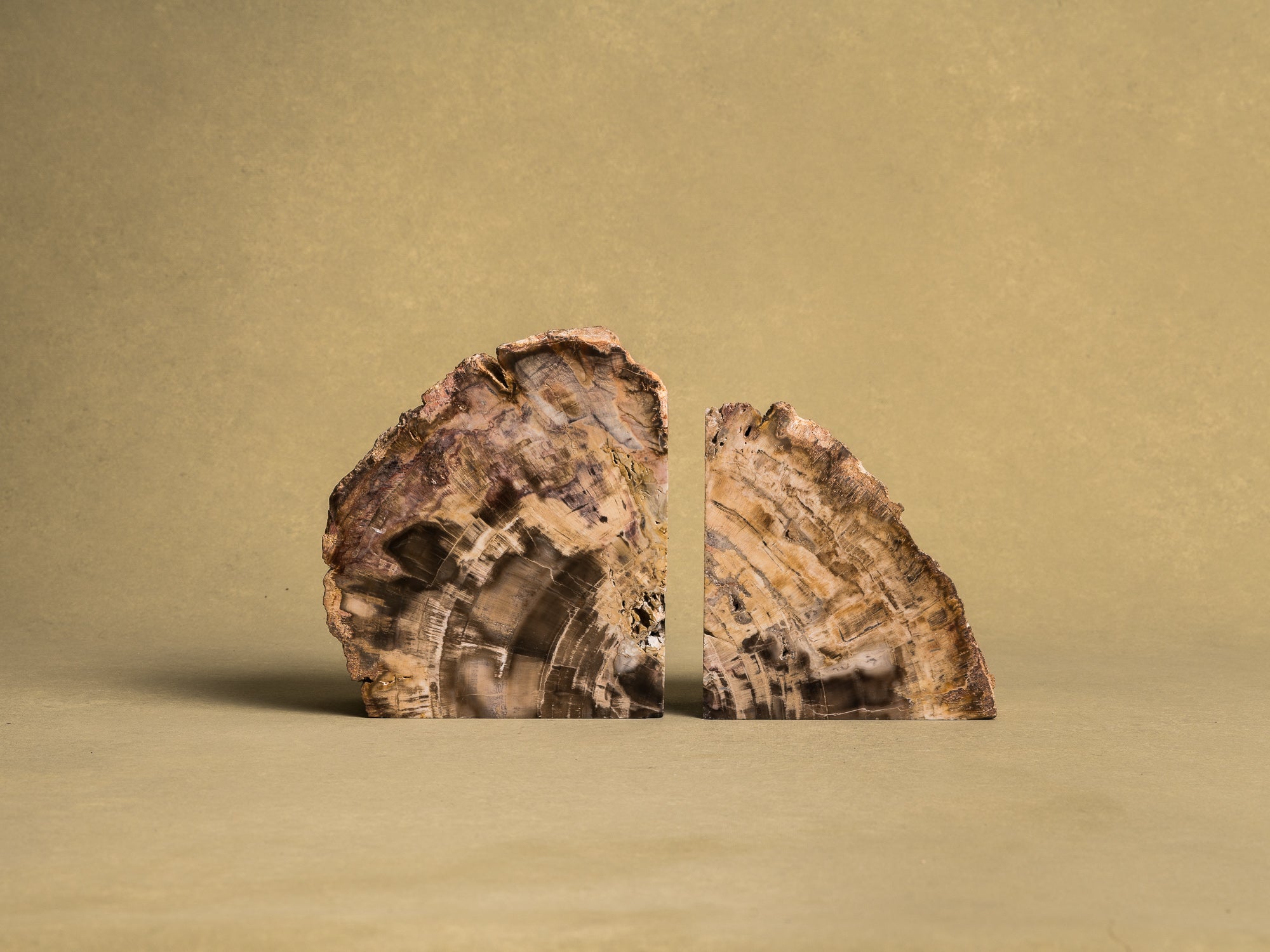 Curiosité, Serre‑livres en bois fossilisé monolithe, France (vers 1970)..Curiosity, "brutalist" bookend in fossilized wood, France (circa 1970)