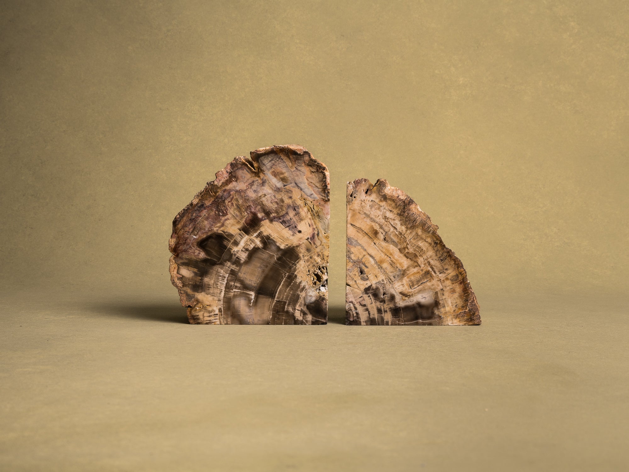 Curiosité, Serre‑livres en bois fossilisé monolithe, France (vers 1970)..Curiosity, "brutalist" bookend in fossilized wood, France (circa 1970)
