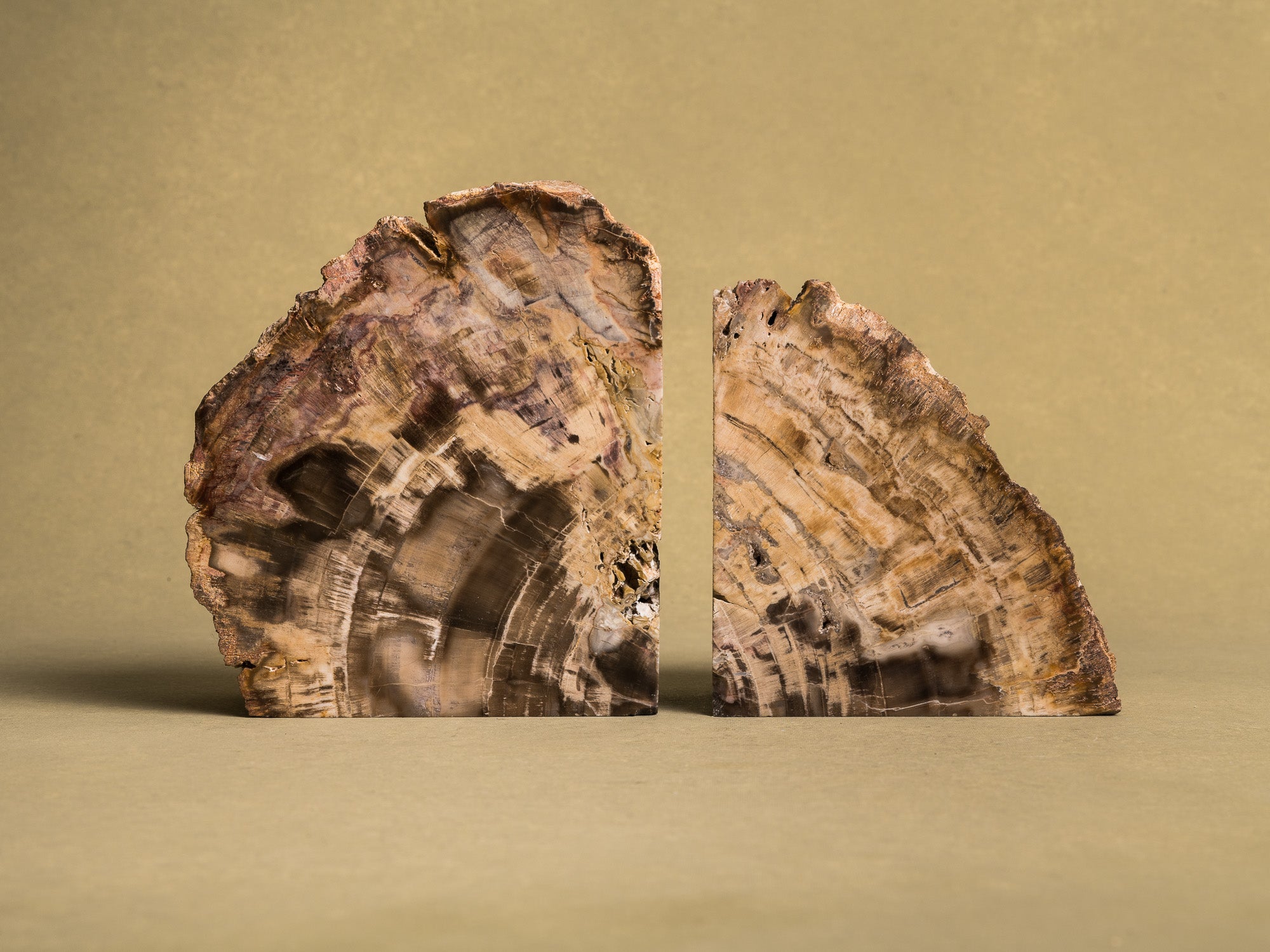 Curiosité, Serre‑livres en bois fossilisé monolithe, France (vers 1970)..Curiosity, "brutalist" bookend in fossilized wood, France (circa 1970)