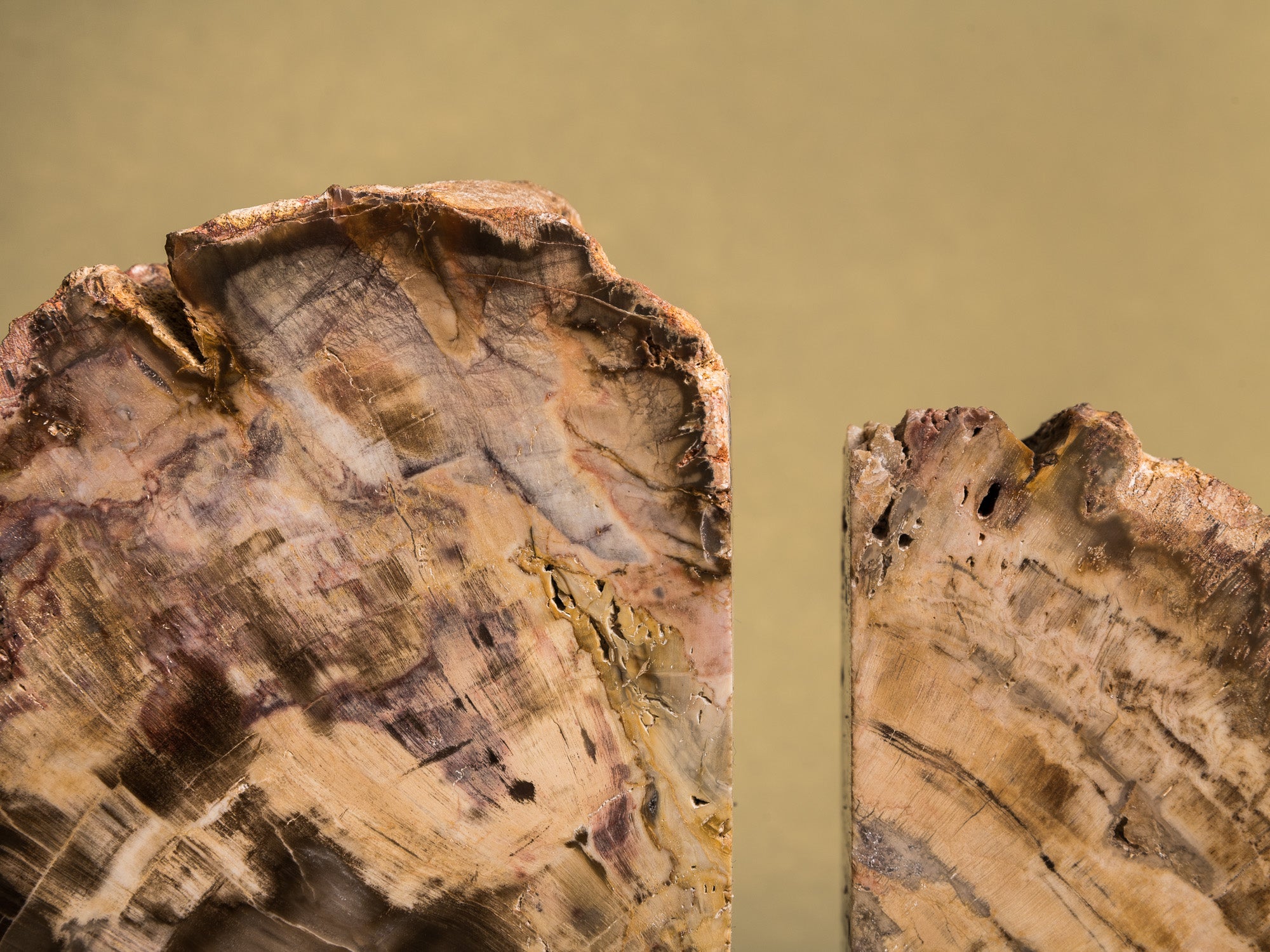 Curiosité, Serre‑livres en bois fossilisé monolithe, France (vers 1970)..Curiosity, "brutalist" bookend in fossilized wood, France (circa 1970)