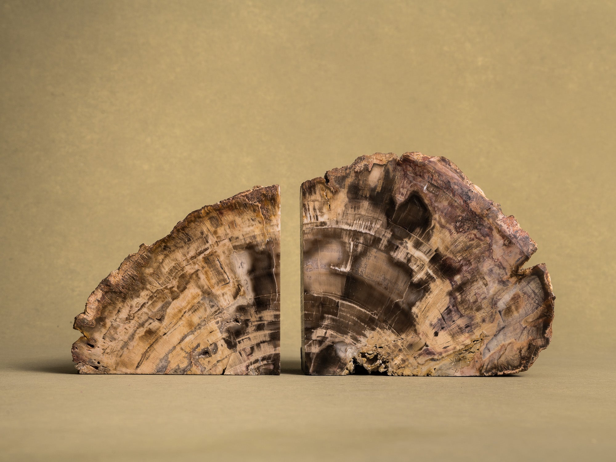 Curiosité, Serre‑livres en bois fossilisé monolithe, France (vers 1970)..Curiosity, "brutalist" bookend in fossilized wood, France (circa 1970)