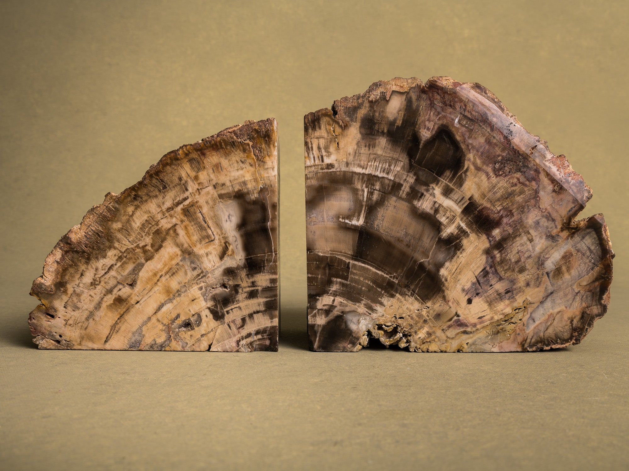 Curiosité, Serre‑livres en bois fossilisé monolithe, France (vers 1970)..Curiosity, "brutalist" bookend in fossilized wood, France (circa 1970)