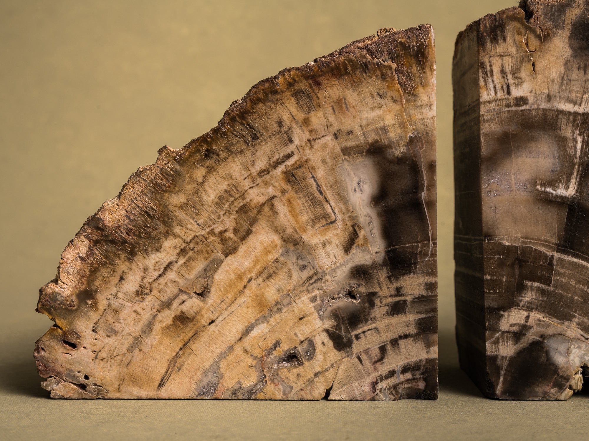 Curiosité, Serre‑livres en bois fossilisé monolithe, France (vers 1970)..Curiosity, "brutalist" bookend in fossilized wood, France (circa 1970)