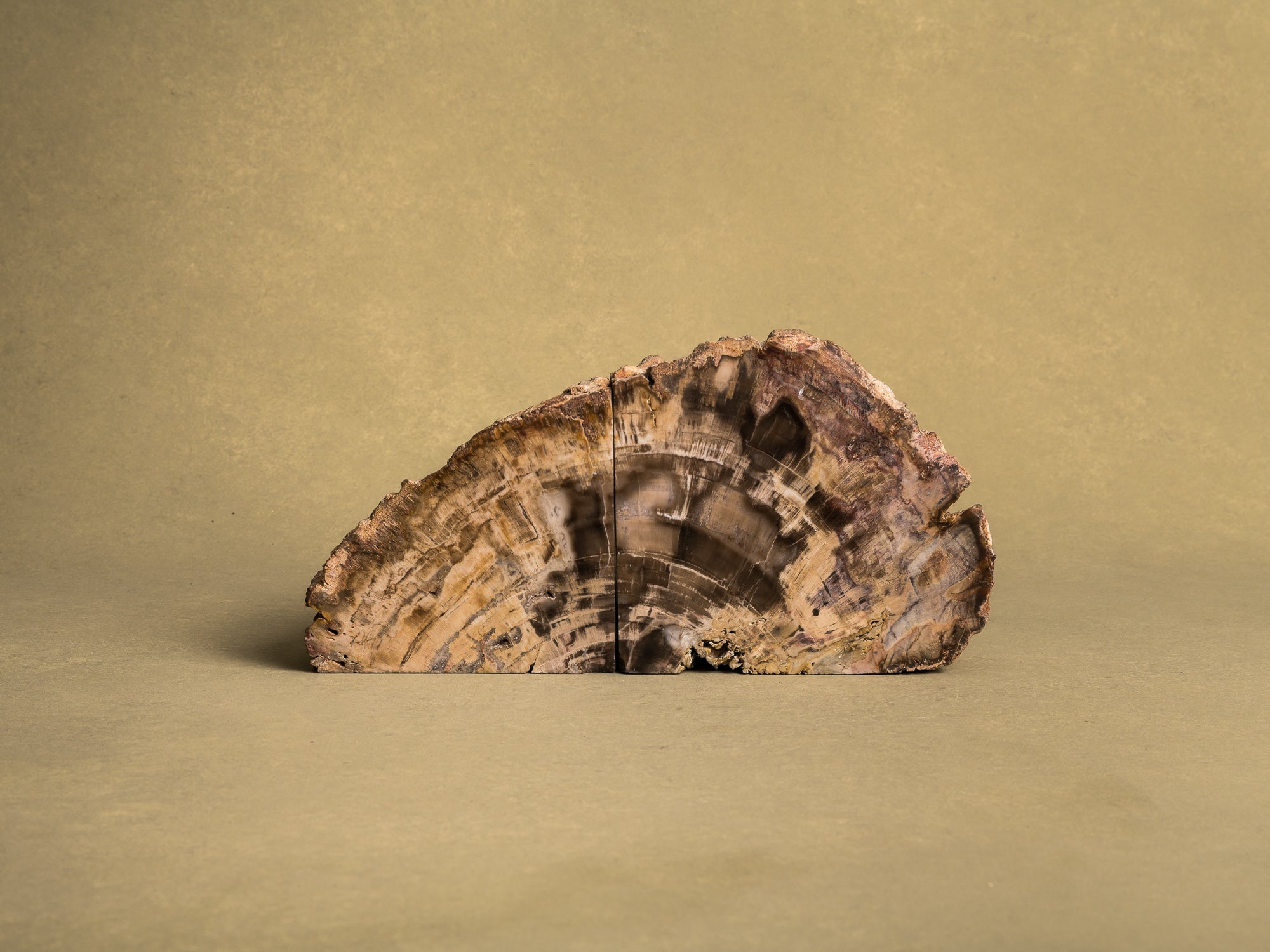 Curiosité, Serre‑livres en bois fossilisé monolithe, France (vers 1970)..Curiosity, "brutalist" bookend in fossilized wood, France (circa 1970)