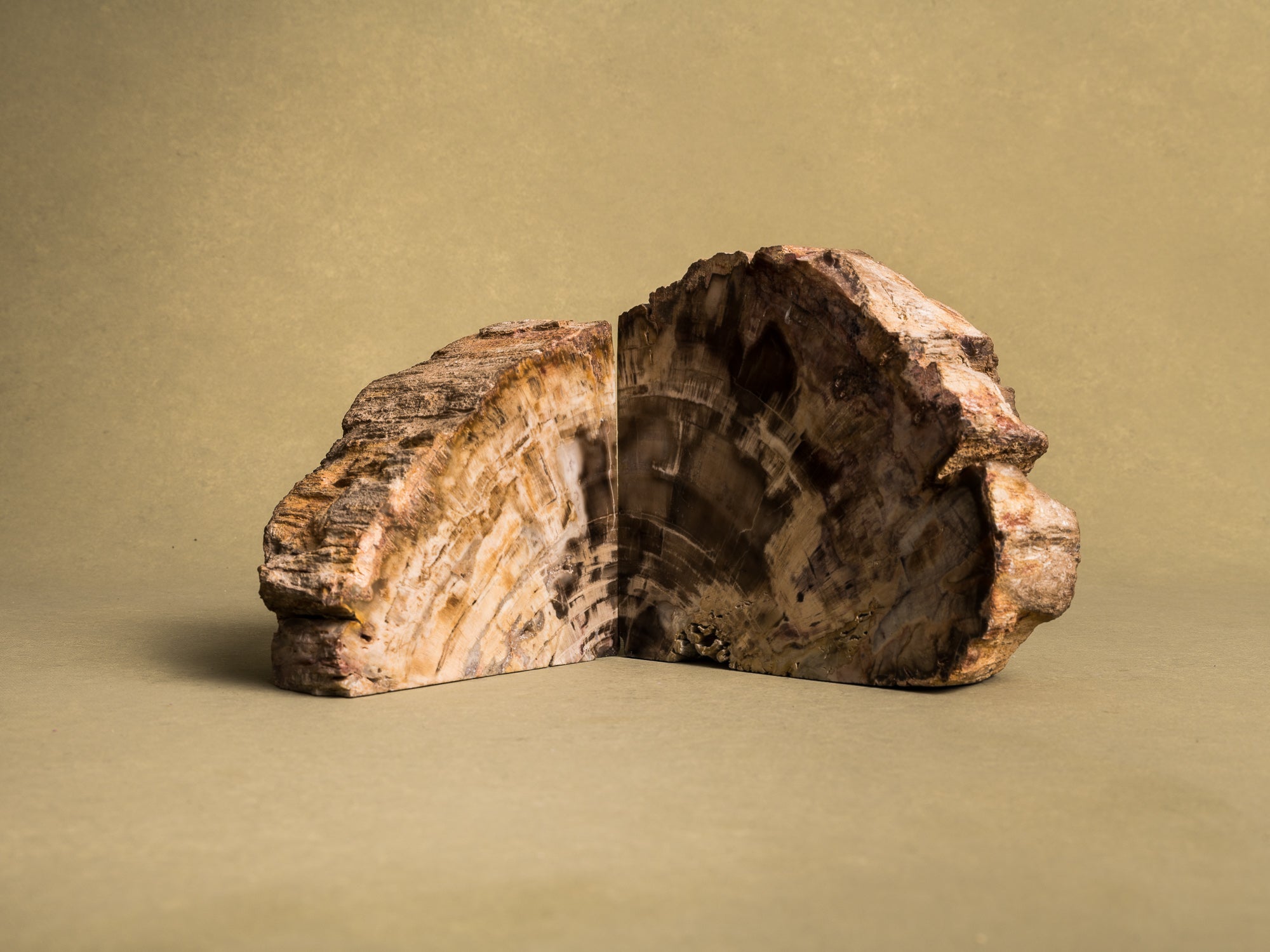 Curiosité, Serre‑livres en bois fossilisé monolithe, France (vers 1970)..Curiosity, "brutalist" bookend in fossilized wood, France (circa 1970)