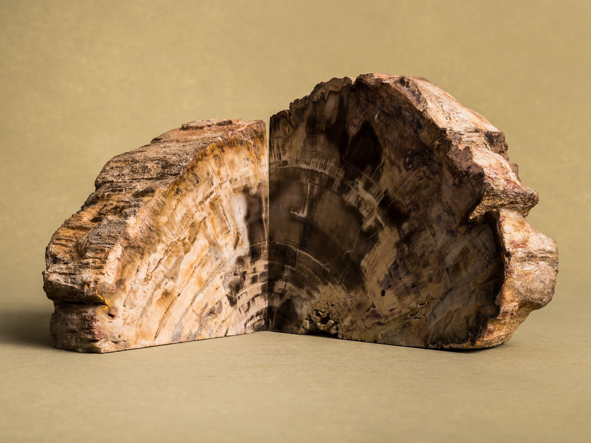 Curiosité, Serre‑livres en bois fossilisé monolithe, France (vers 1970)..Curiosity, "brutalist" bookend in fossilized wood, France (circa 1970)