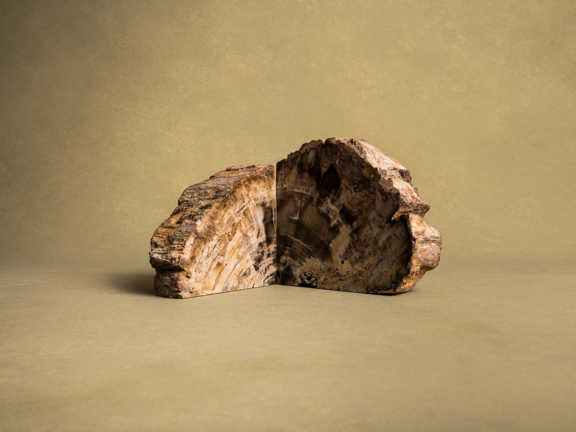 Curiosité, Serre‑livres en bois fossilisé monolithe, France (vers 1970)..Curiosity, "brutalist" bookend in fossilized wood, France (circa 1970)