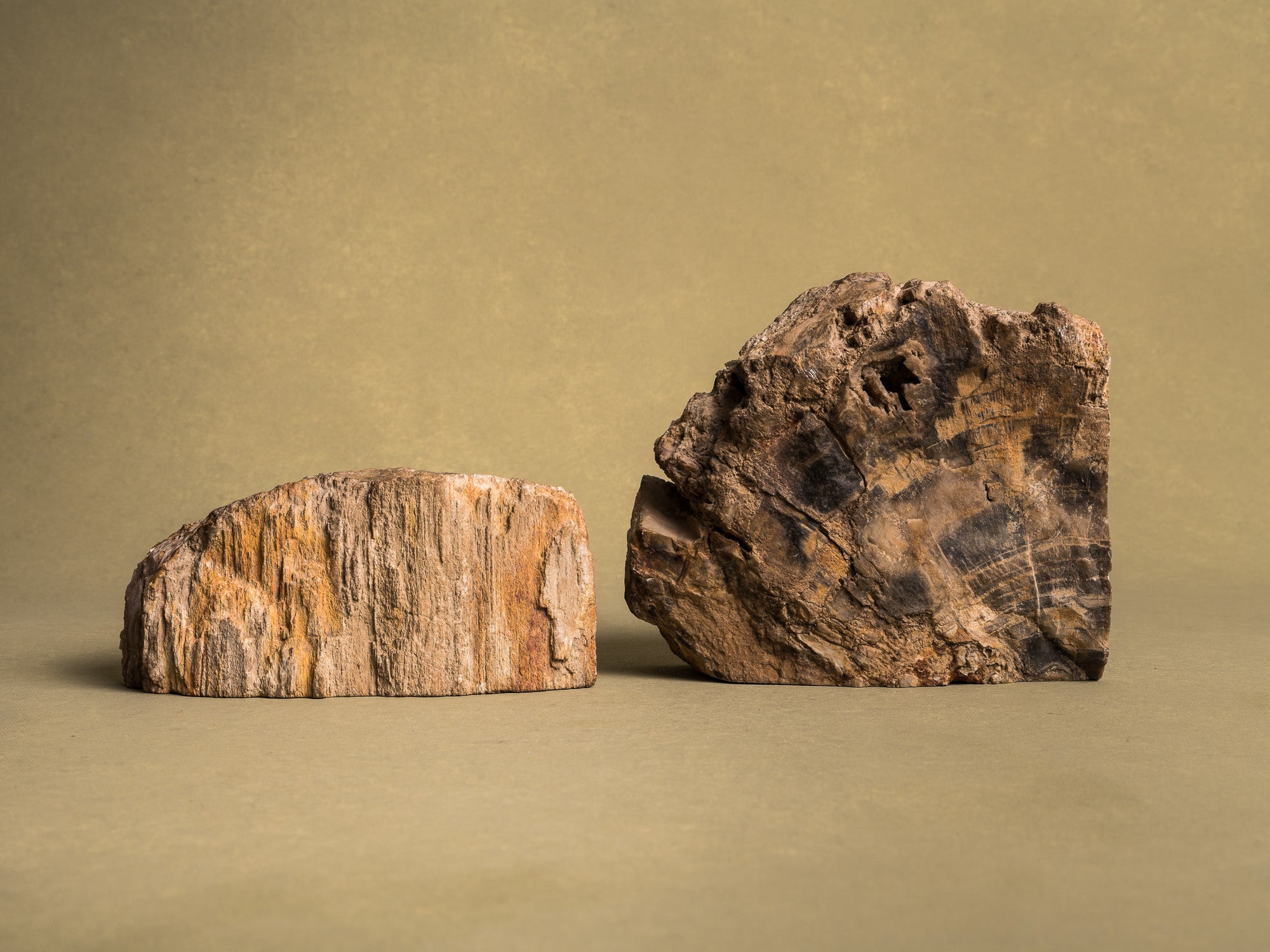 Curiosité, Serre‑livres en bois fossilisé monolithe, France (vers 1970)..Curiosity, "brutalist" bookend in fossilized wood, France (circa 1970)
