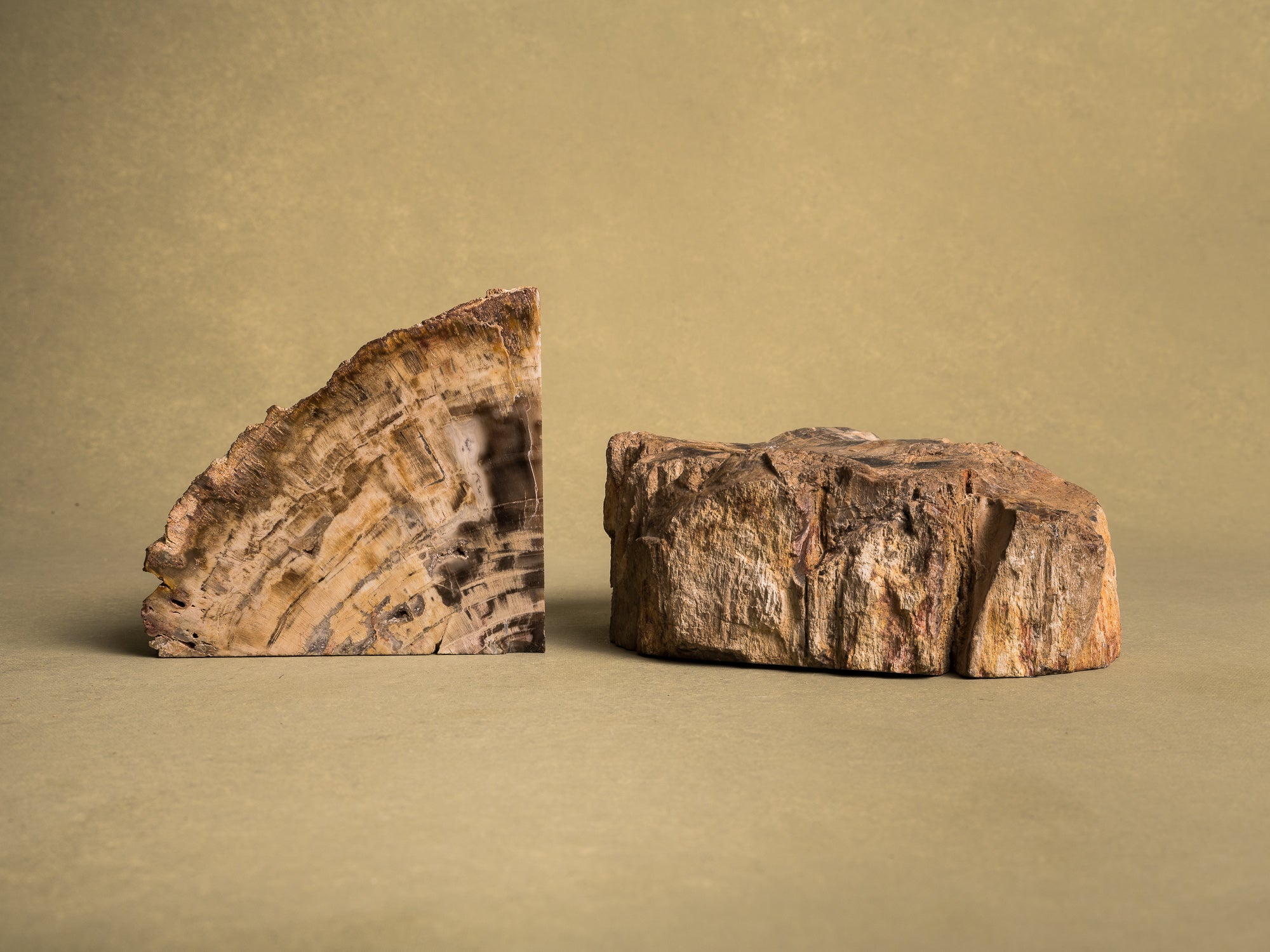 Curiosité, Serre‑livres en bois fossilisé monolithe, France (vers 1970)..Curiosity, "brutalist" bookend in fossilized wood, France (circa 1970)