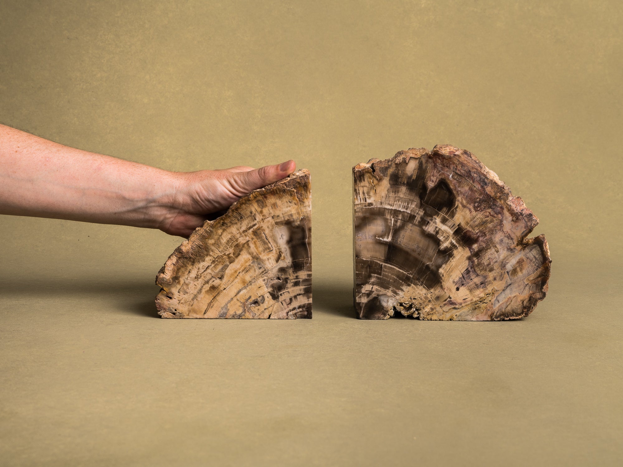 Curiosité, Serre‑livres en bois fossilisé monolithe, France (vers 1970)..Curiosity, "brutalist" bookend in fossilized wood, France (circa 1970)