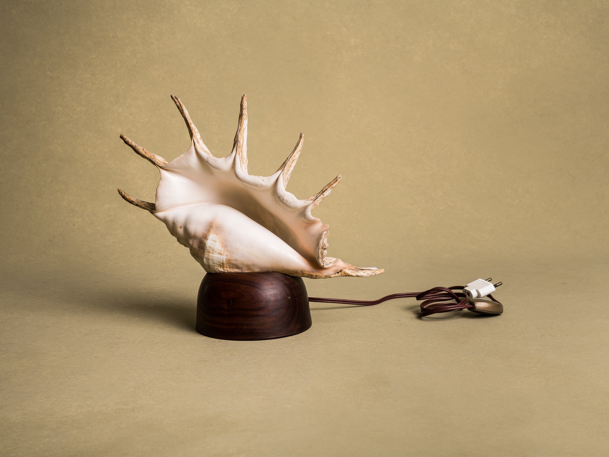 Rare lampe en coquillage monté, curiosité d'époque Art Déco, France (vers 1925)..Rare shell lamp, curiosity from the Art Deco period, France (circa 1925)