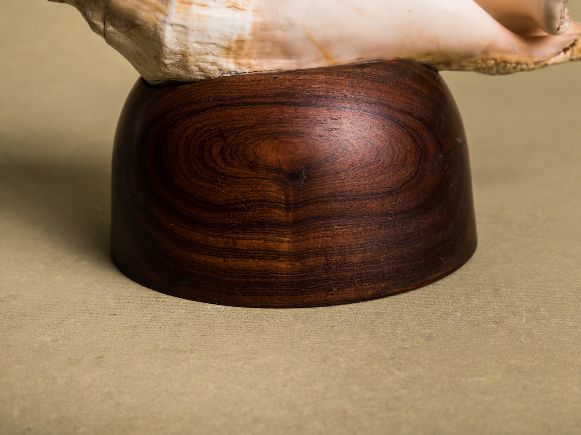 Rare lampe en coquillage monté, curiosité d'époque Art Déco, France (vers 1925)..Rare shell lamp, curiosity from the Art Deco period, France (circa 1925)