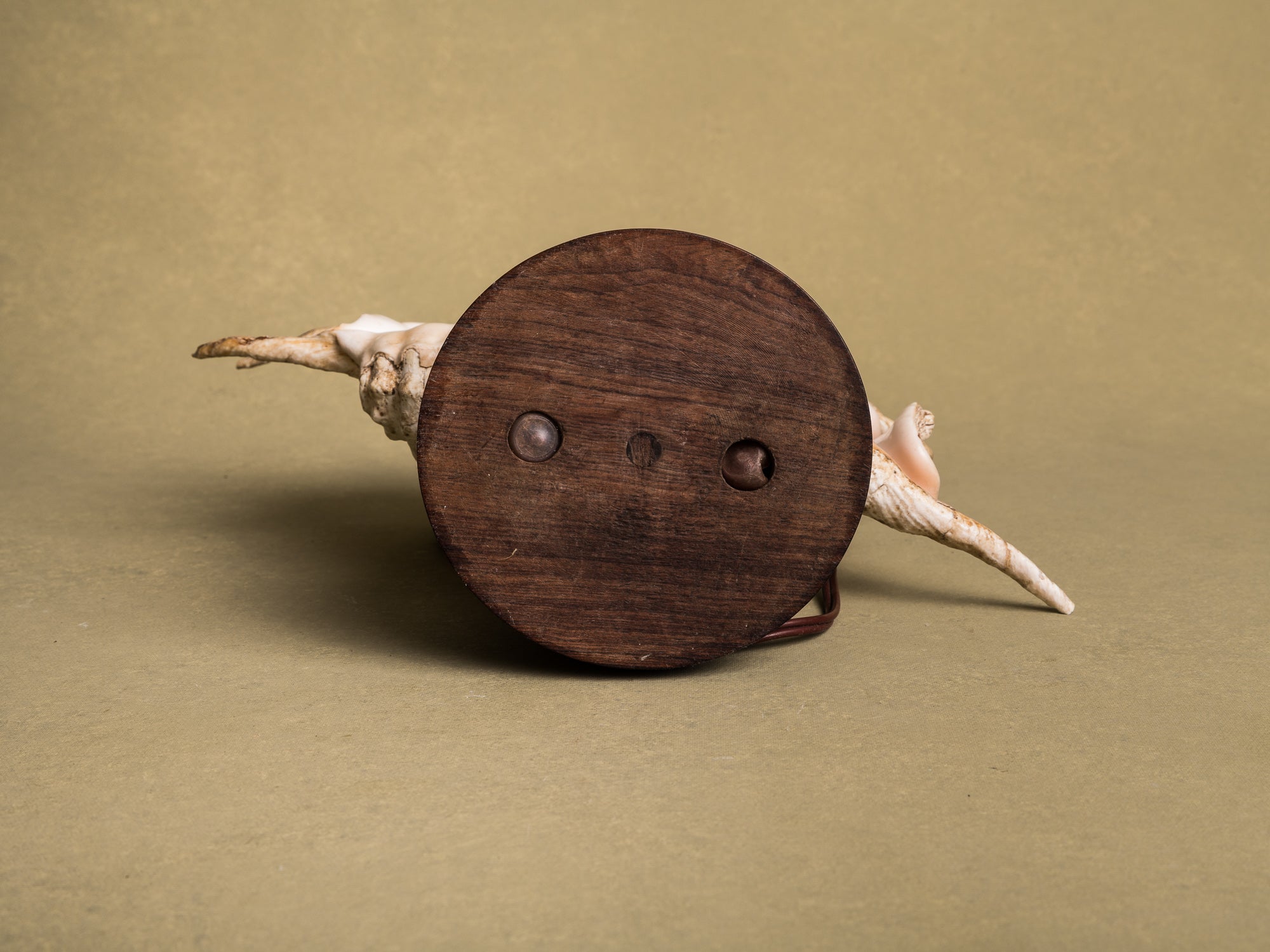 Rare lampe en coquillage monté, curiosité d'époque Art Déco, France (vers 1925)..Rare shell lamp, curiosity from the Art Deco period, France (circa 1925)