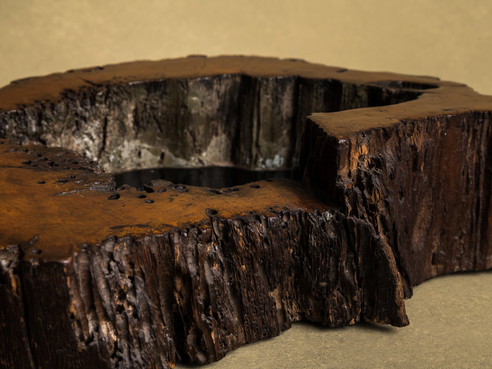 Importante coupe / support en bois de keyaki pour l'ikebana, Japon (vers 1850)..Keyaki burl wood ikebana stand vase, Japan (circa 1850)