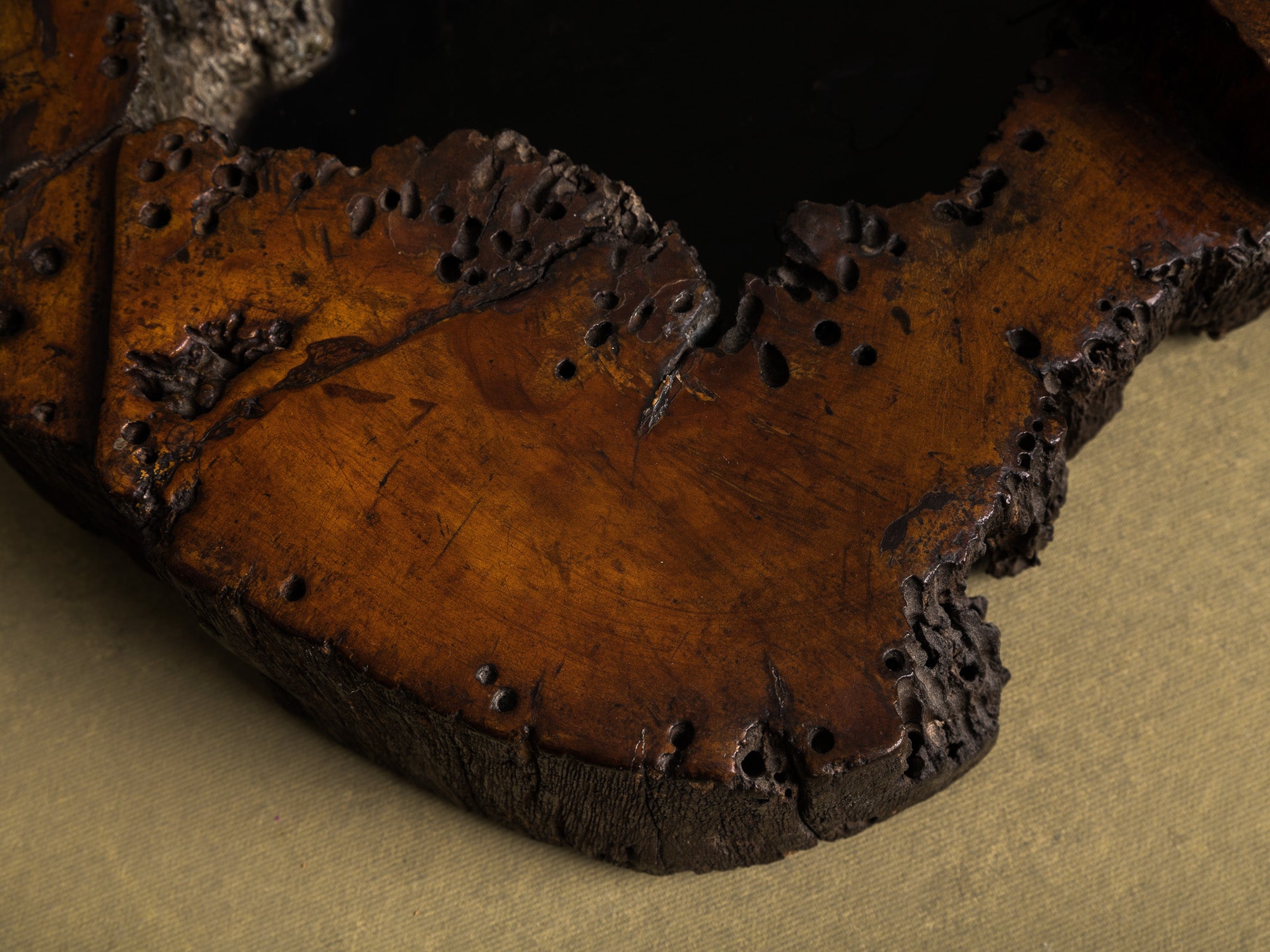 Importante coupe / support en bois de keyaki pour l'ikebana, Japon (vers 1850)..Keyaki burl wood ikebana stand vase, Japan (circa 1850)