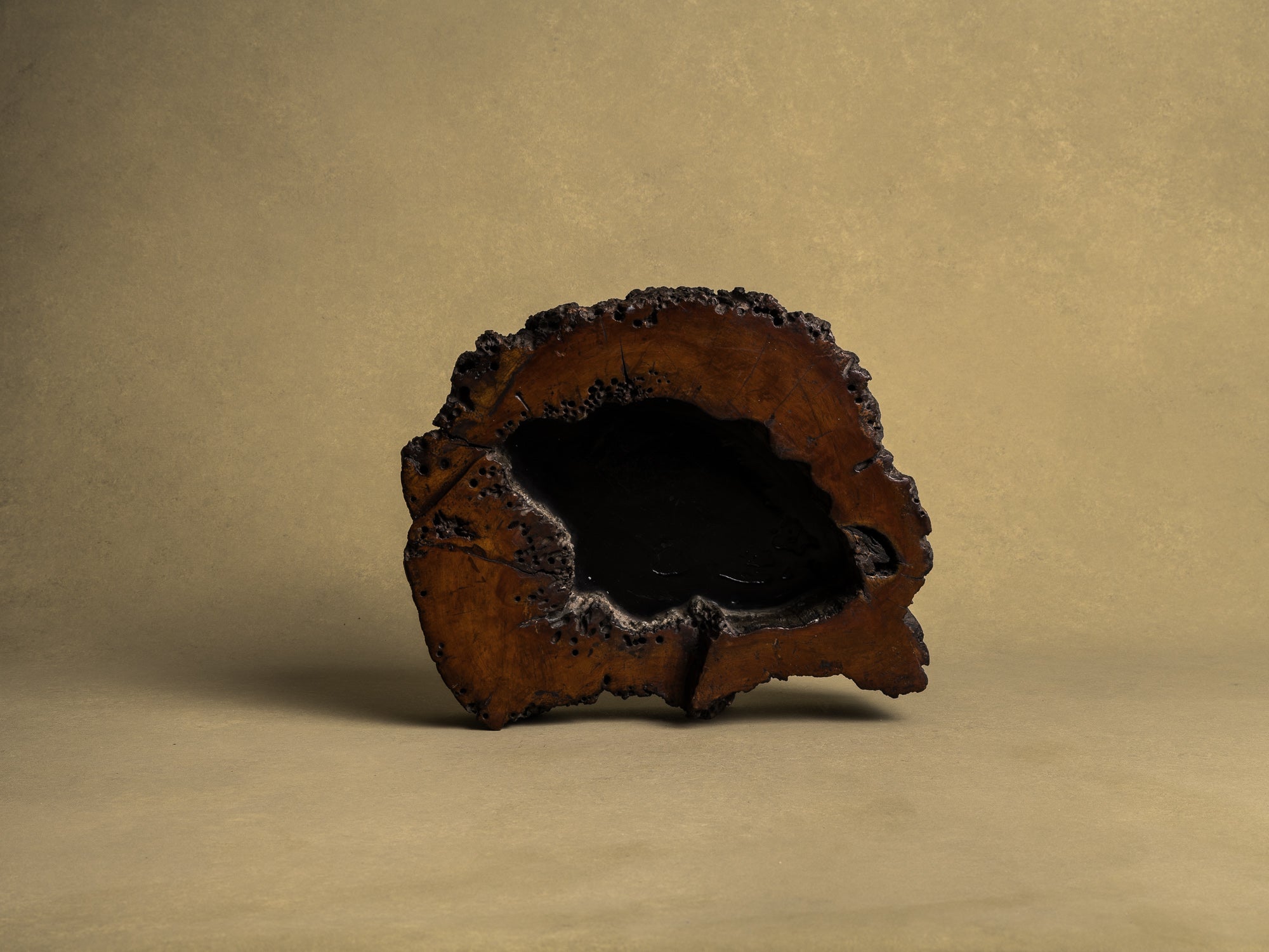 Importante coupe / support en bois de keyaki pour l'ikebana, Japon (vers 1850)..Keyaki burl wood ikebana stand vase, Japan (circa 1850)