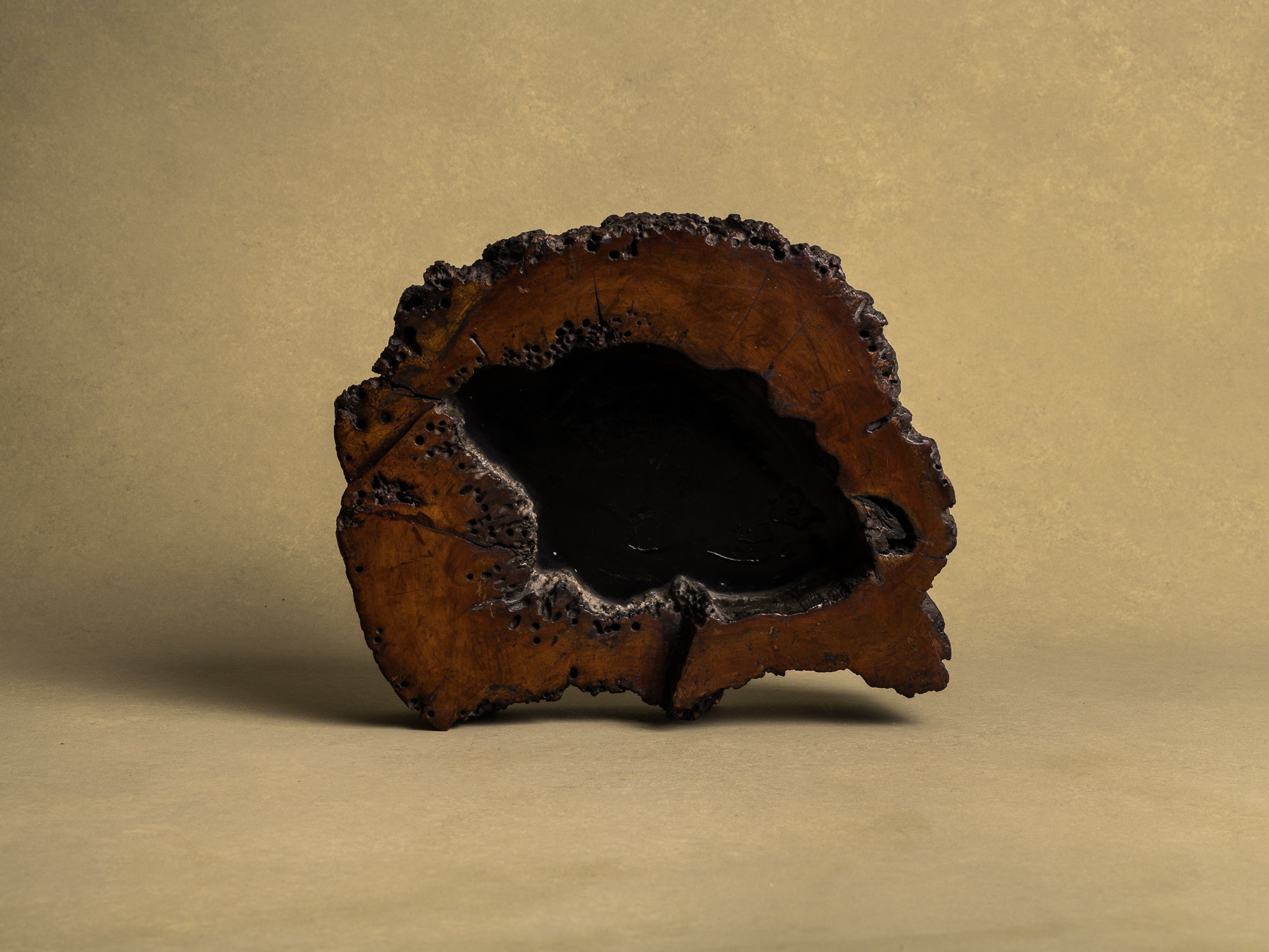 Importante coupe / support en bois de keyaki pour l'ikebana, Japon (vers 1850)..Keyaki burl wood ikebana stand vase, Japan (circa 1850)