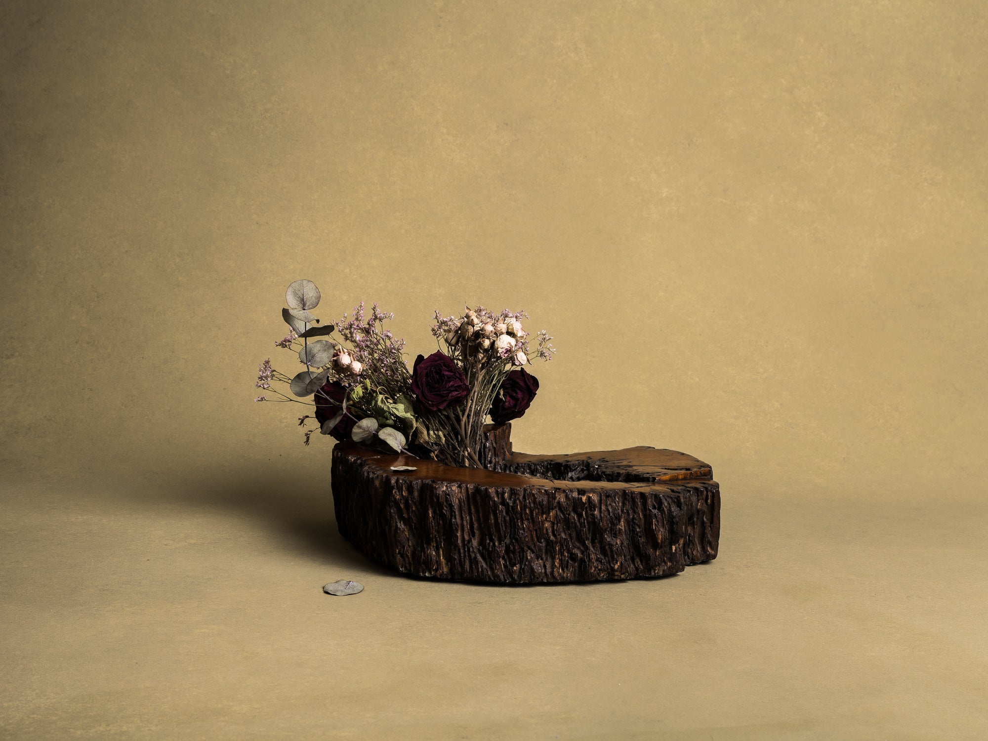 Importante coupe / support en bois de keyaki pour l'ikebana, Japon (vers 1850)..Keyaki burl wood ikebana stand vase, Japan (circa 1850)