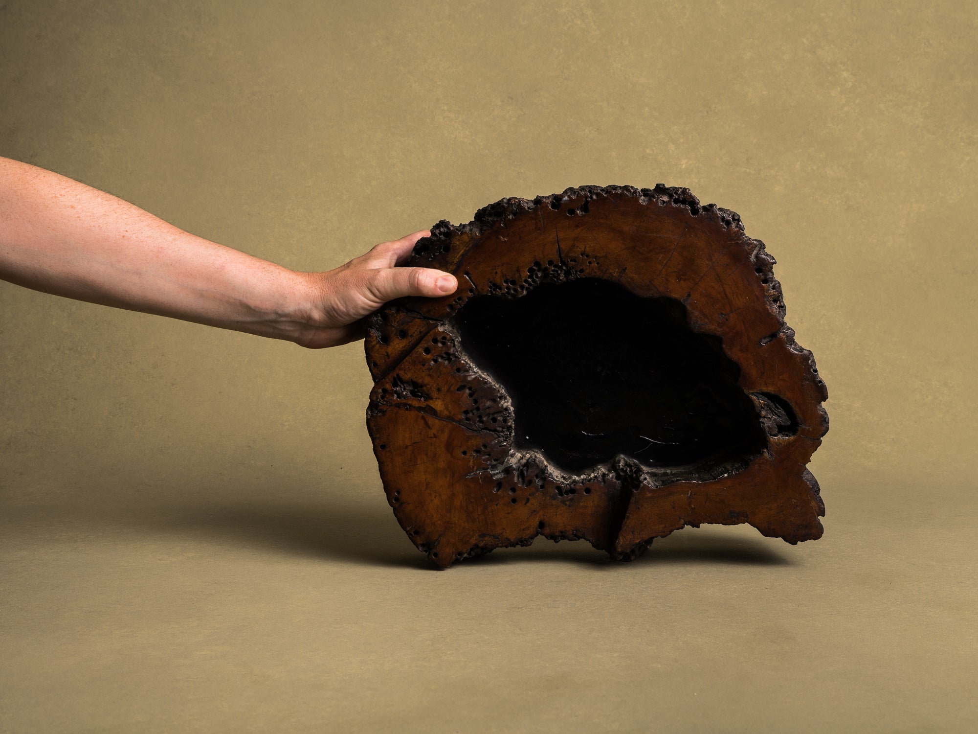 Importante coupe / support en bois de keyaki pour l'ikebana, Japon (vers 1850)..Keyaki burl wood ikebana stand vase, Japan (circa 1850)