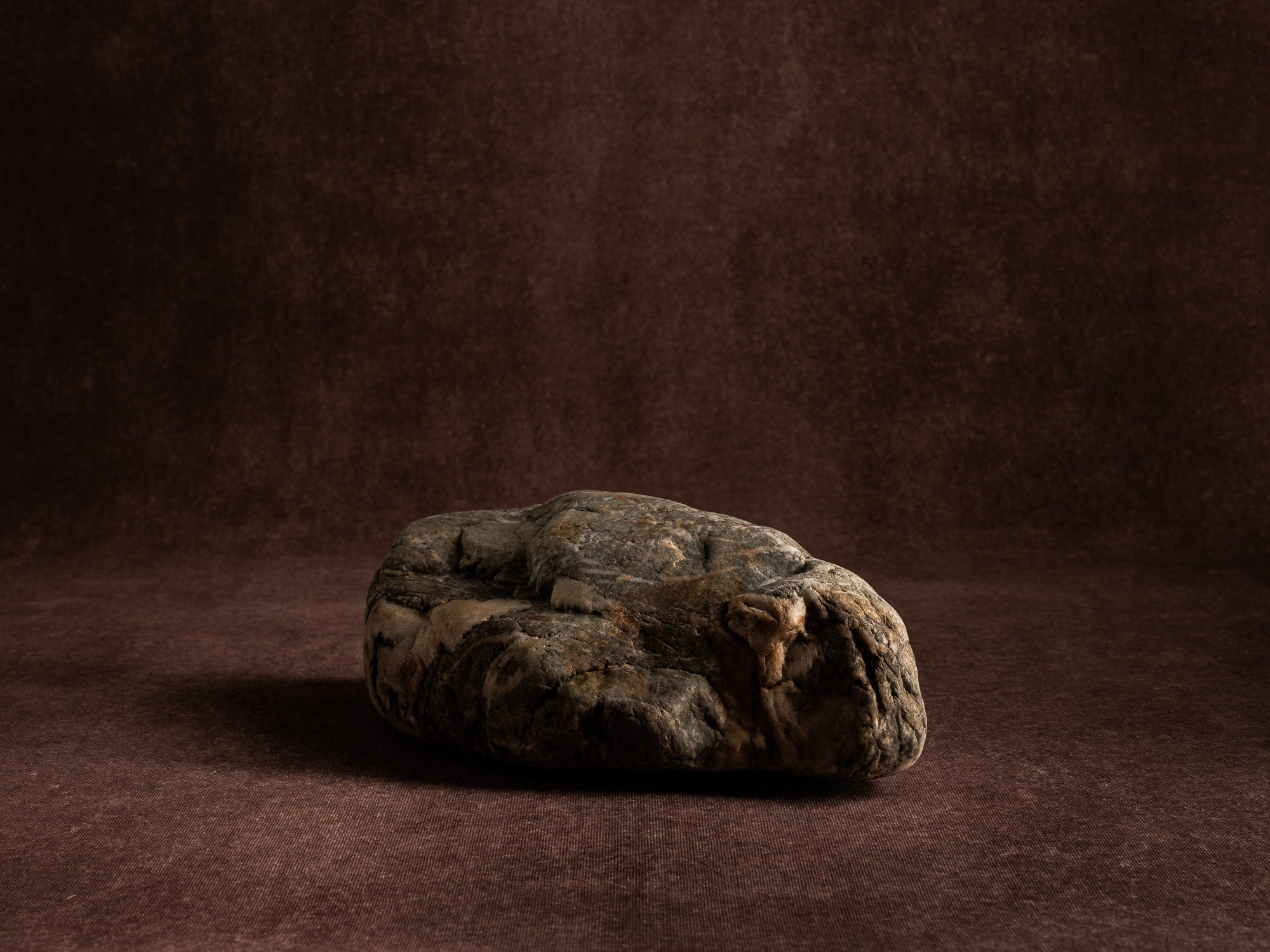 Vase‑sculpture "Chelonia" de Lætitia Jacquetton, France (2021)..Sculpture‑vase "Chelonia" by Lætitia Jacquetton, France (2021)