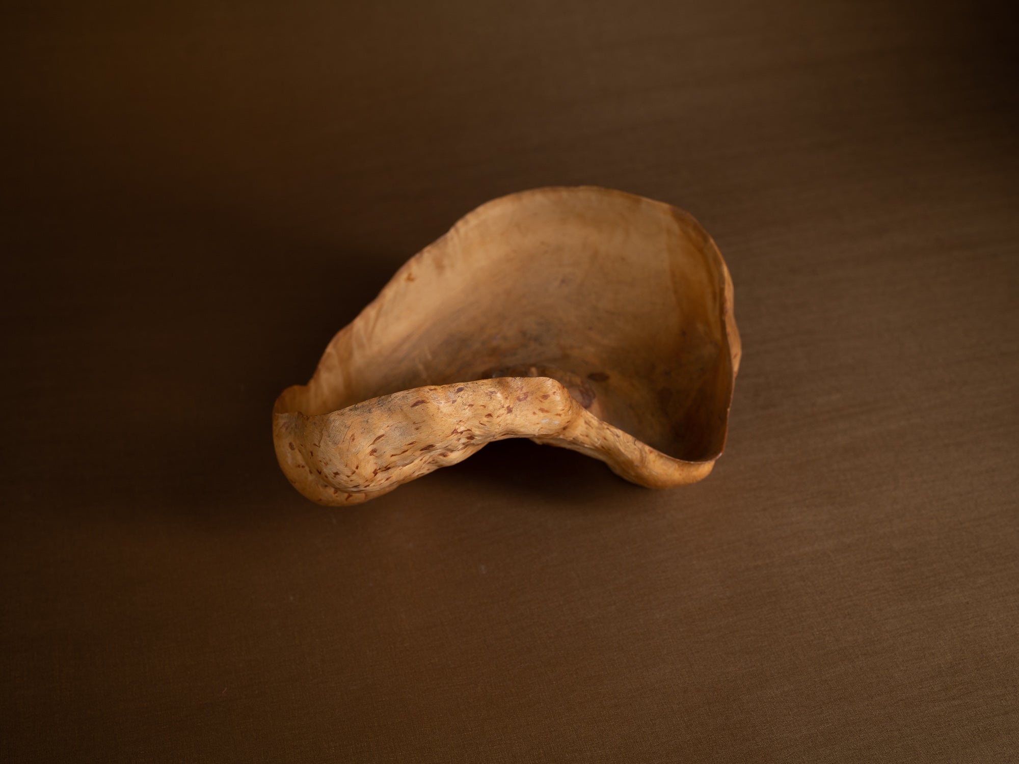 Coupe paysanne monoxyle en broussin de bouleau, Suède (début du XXe siècle)..Peasant birch burl bowl, Sweden (early 20th century)