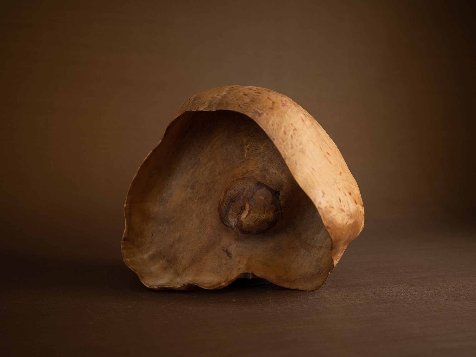 Coupe paysanne monoxyle en broussin de bouleau, Suède (début du XXe siècle)..Peasant birch burl bowl, Sweden (early 20th century)