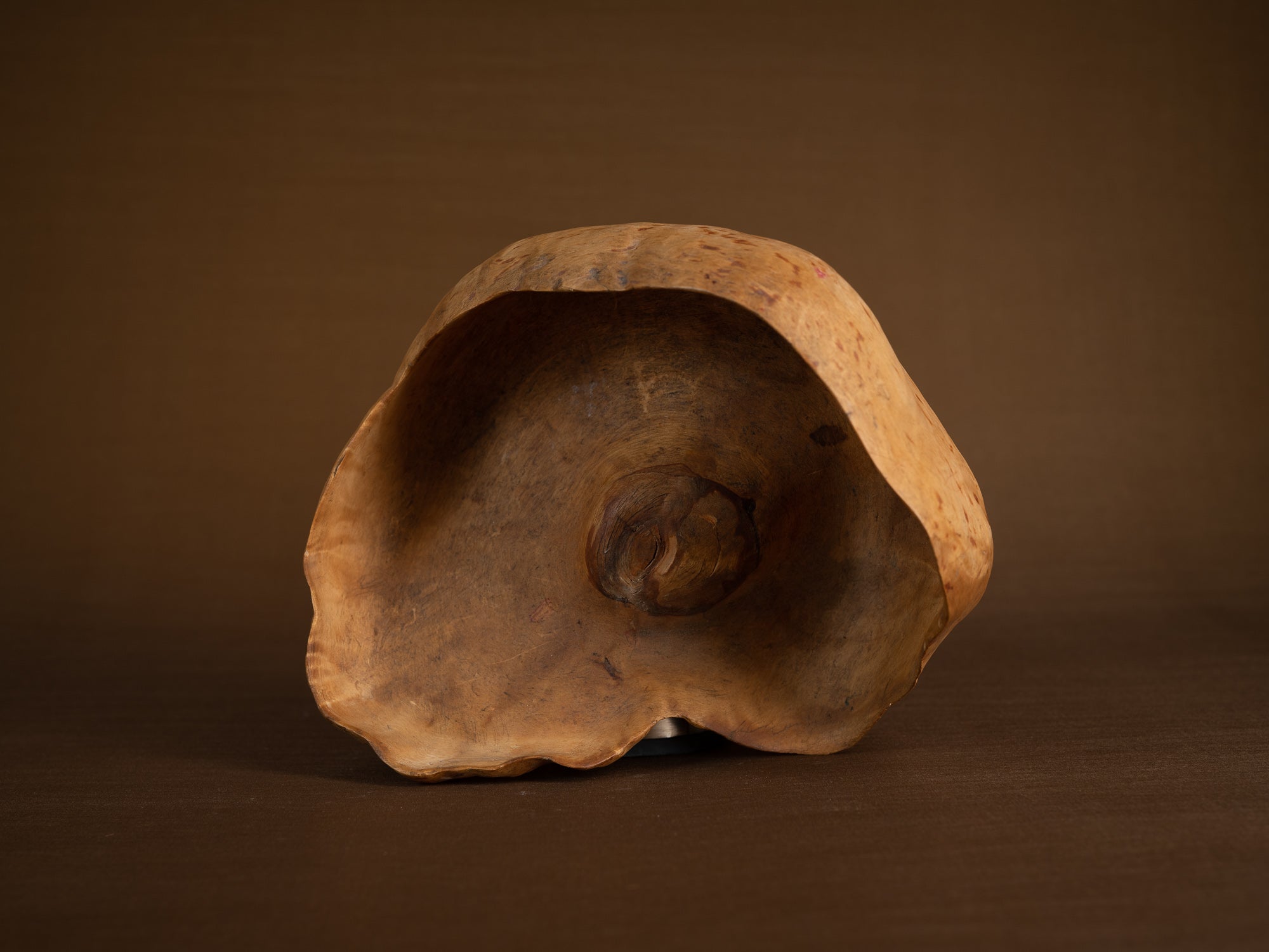 Coupe paysanne monoxyle en broussin de bouleau, Suède (début du XXe siècle)..Peasant birch burl bowl, Sweden (early 20th century)