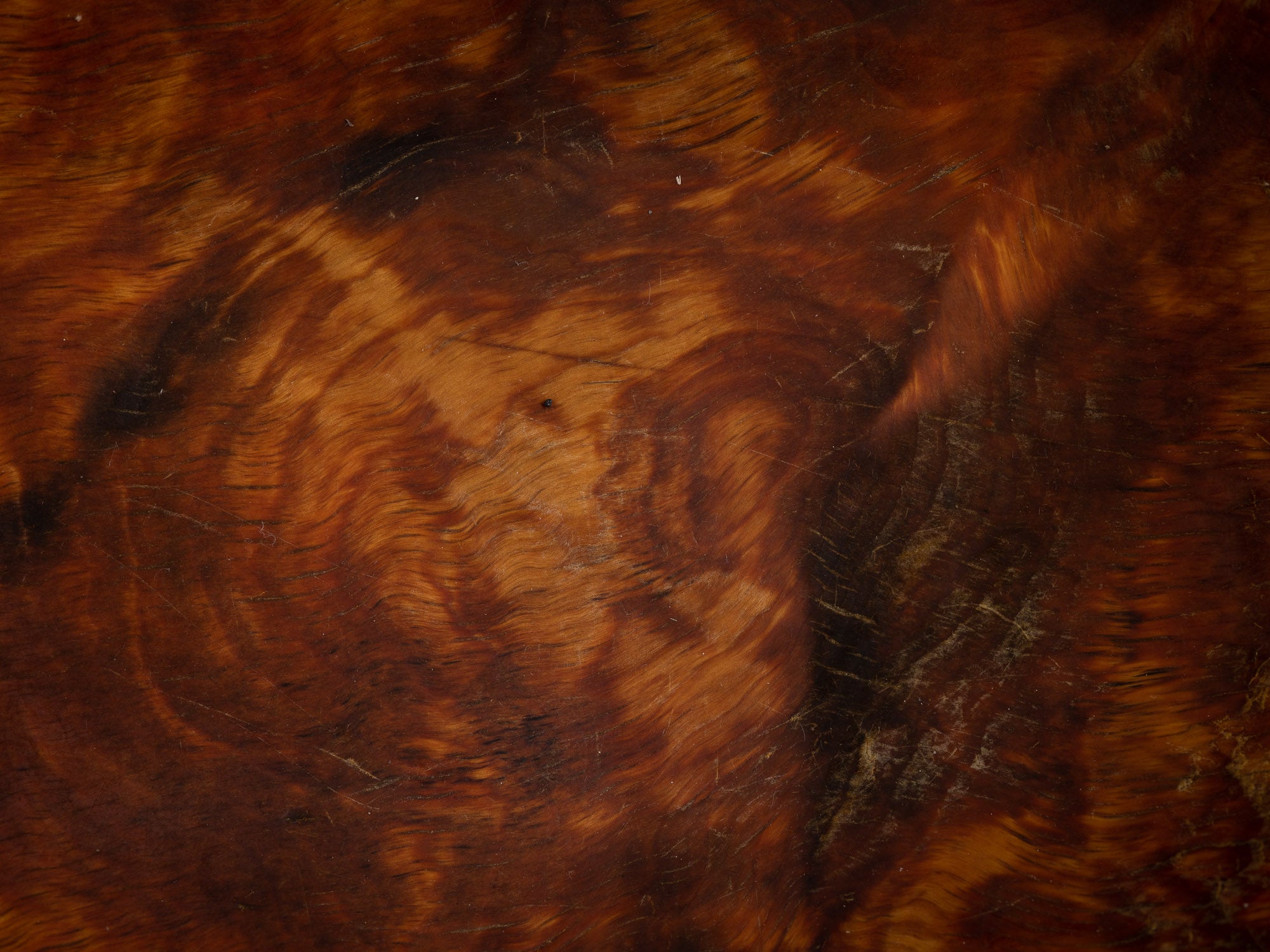 Coupe paysanne monoxyle en broussin de bouleau, Suède (1892)..Peasant birch burl bowl, Sweden (1892)