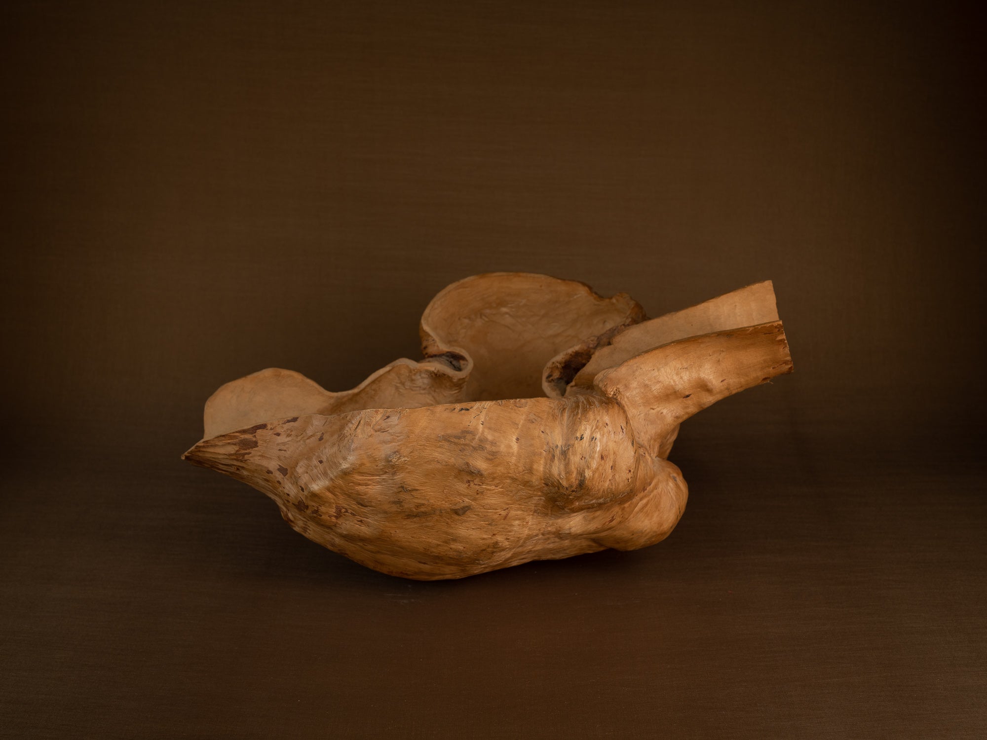Immense coupe paysanne monoxyle en broussin de bouleau, Suède (milieu du XXe siècle)..Giant peasant birch burl bowl, Sweden (mid 20th century)