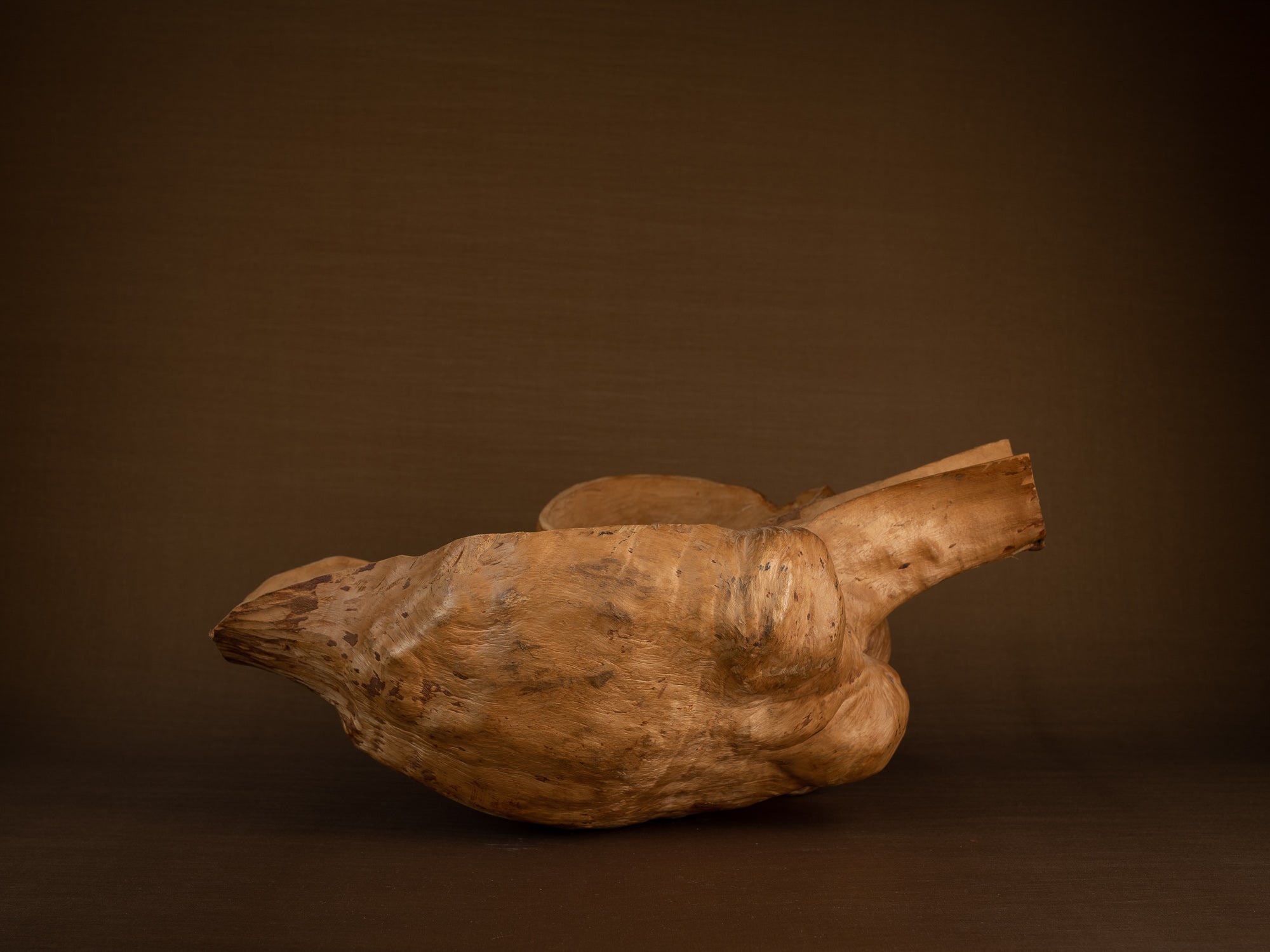Immense coupe paysanne monoxyle en broussin de bouleau, Suède (milieu du XXe siècle)..Giant peasant birch burl bowl, Sweden (mid 20th century)