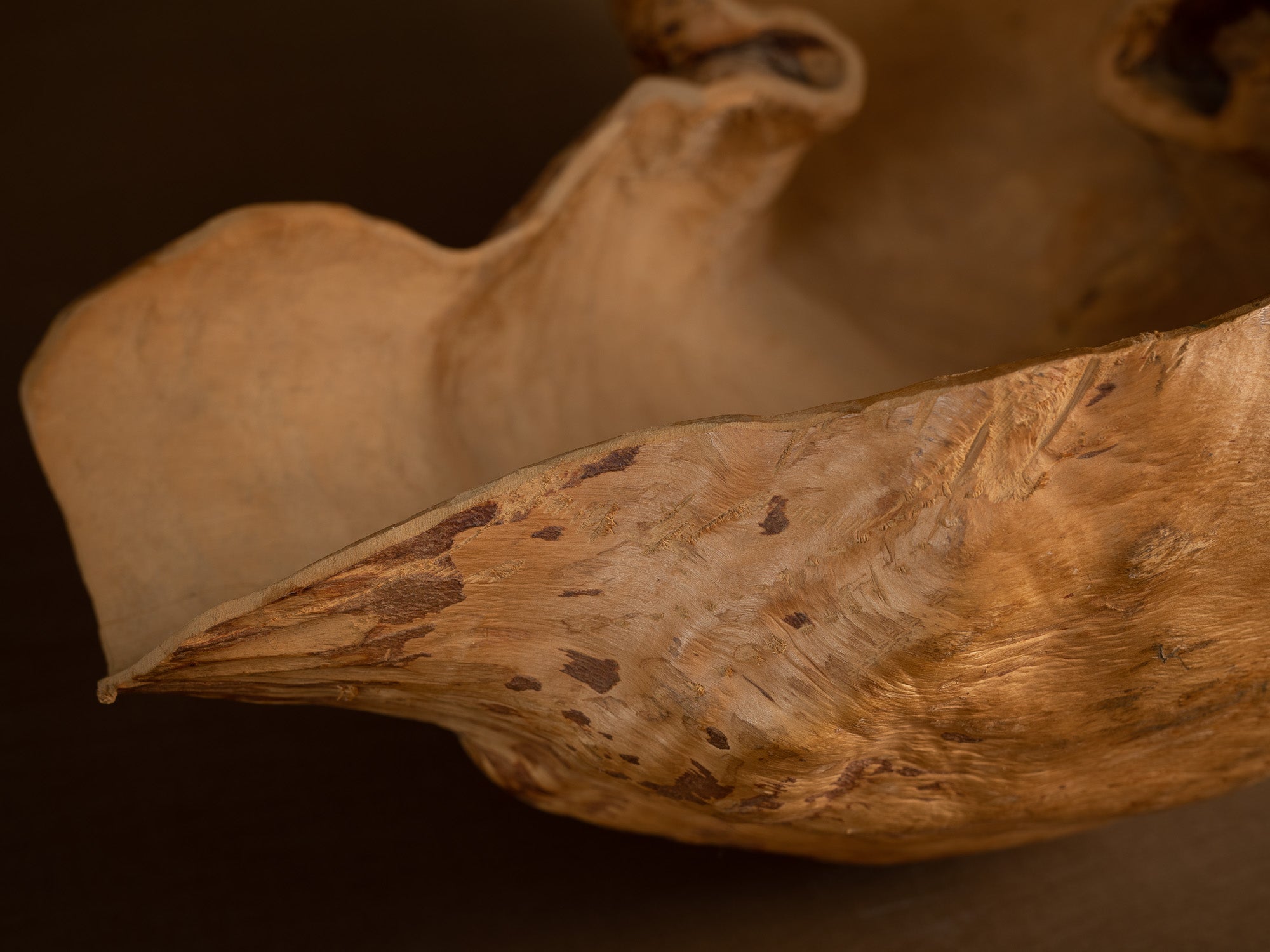 Immense coupe paysanne monoxyle en broussin de bouleau, Suède (milieu du XXe siècle)..Giant peasant birch burl bowl, Sweden (mid 20th century)
