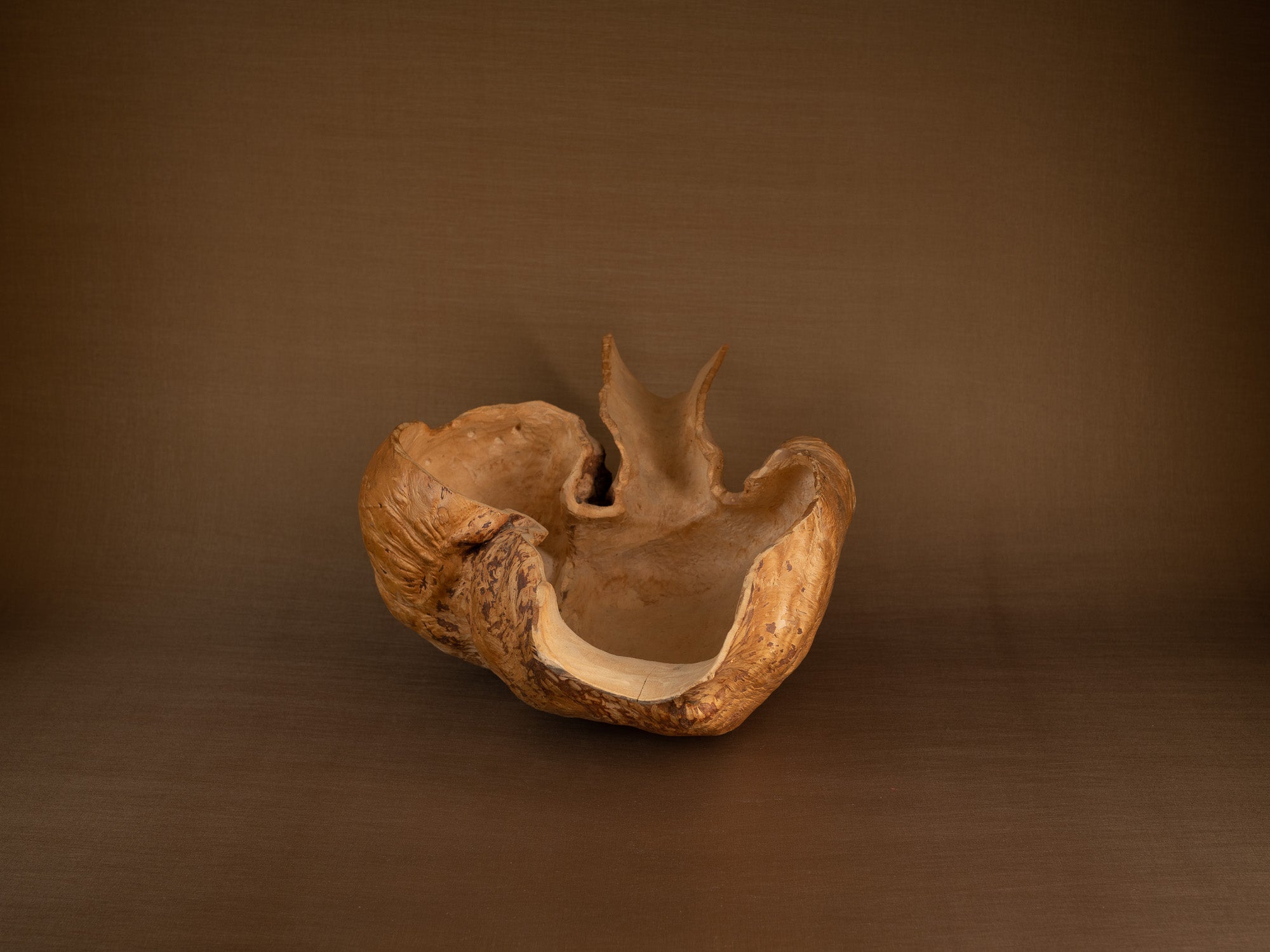 Immense coupe paysanne monoxyle en broussin de bouleau, Suède (milieu du XXe siècle)..Giant peasant birch burl bowl, Sweden (mid 20th century)