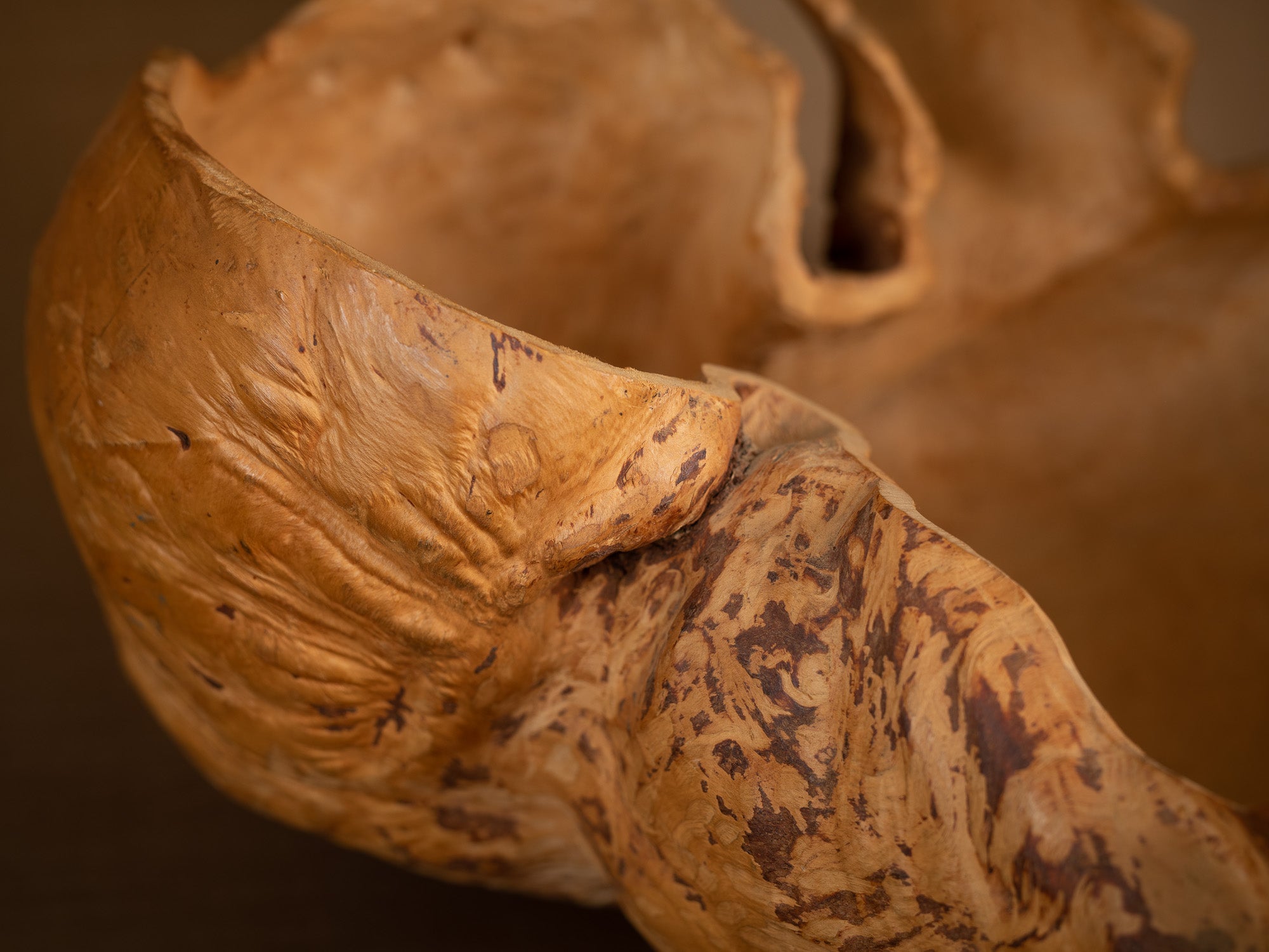 Immense coupe paysanne monoxyle en broussin de bouleau, Suède (milieu du XXe siècle)..Giant peasant birch burl bowl, Sweden (mid 20th century)