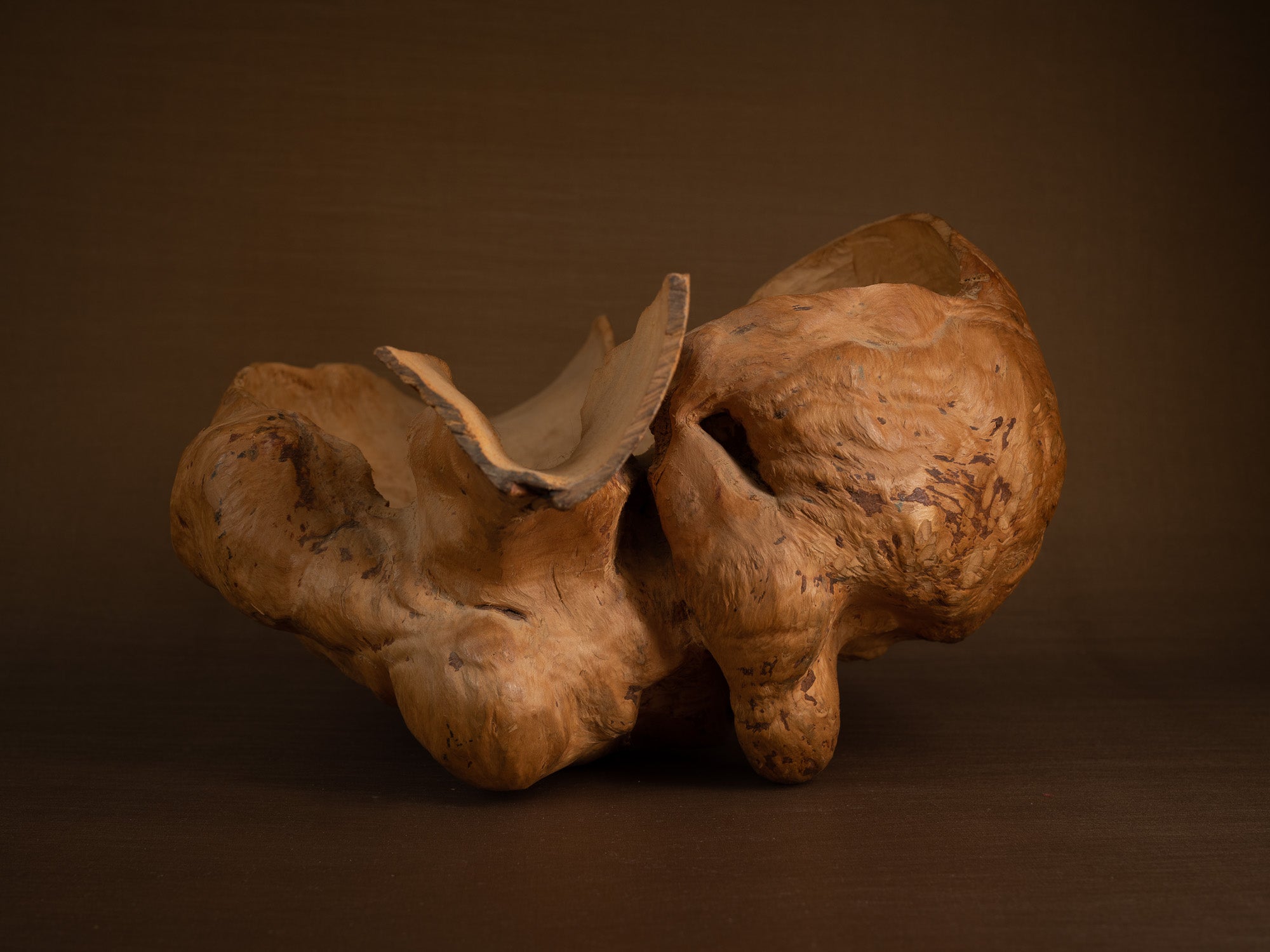 Immense coupe paysanne monoxyle en broussin de bouleau, Suède (milieu du XXe siècle)..Giant peasant birch burl bowl, Sweden (mid 20th century)