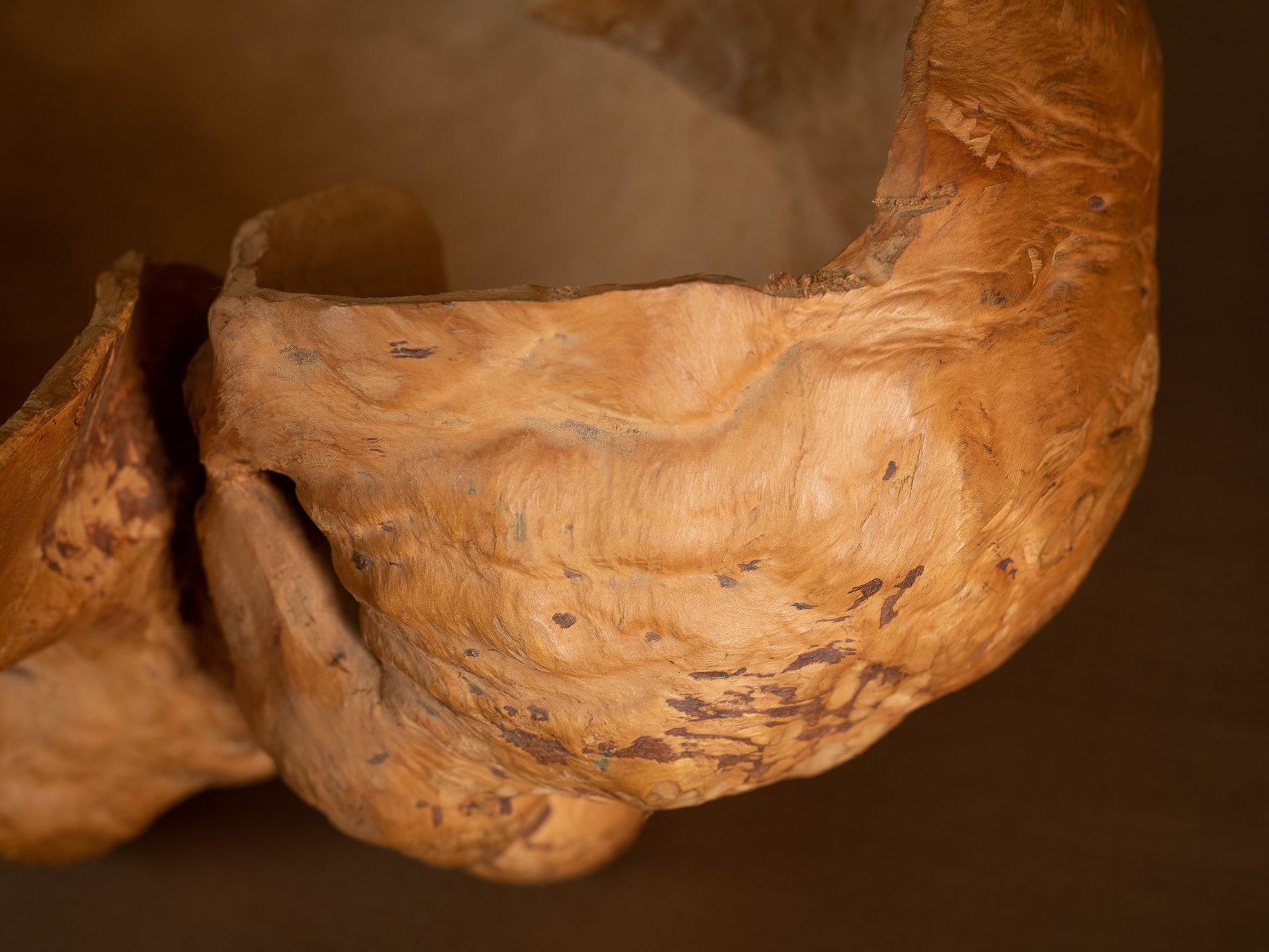Immense coupe paysanne monoxyle en broussin de bouleau, Suède (milieu du XXe siècle)..Giant peasant birch burl bowl, Sweden (mid 20th century)